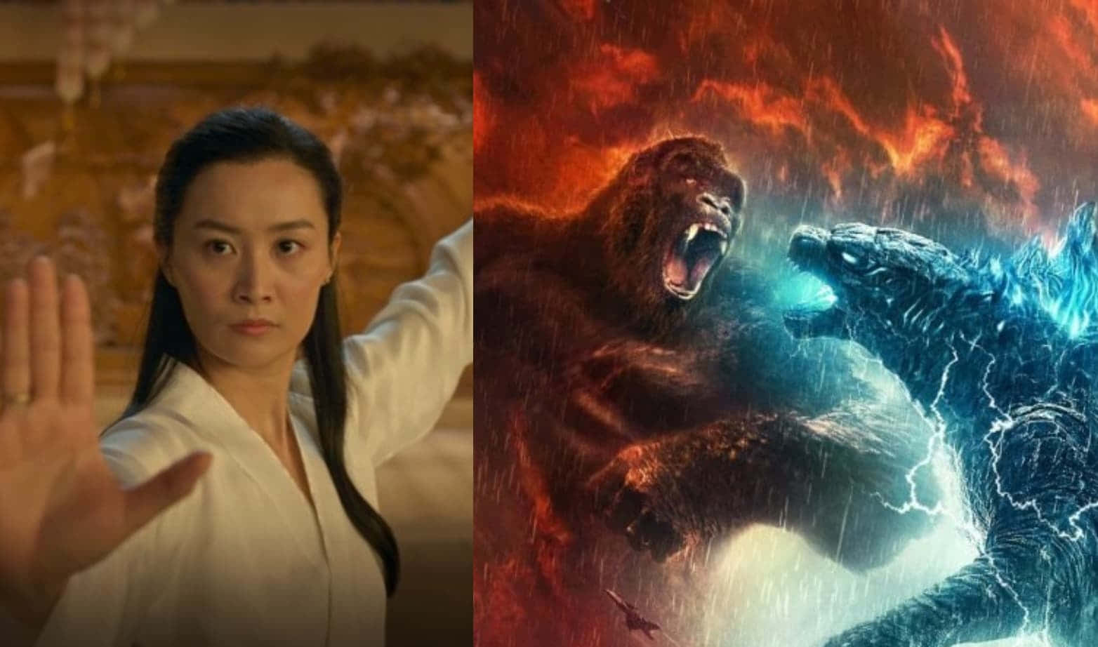 martial artist, Godzilla, Kong, HD Desktop Wallpaper