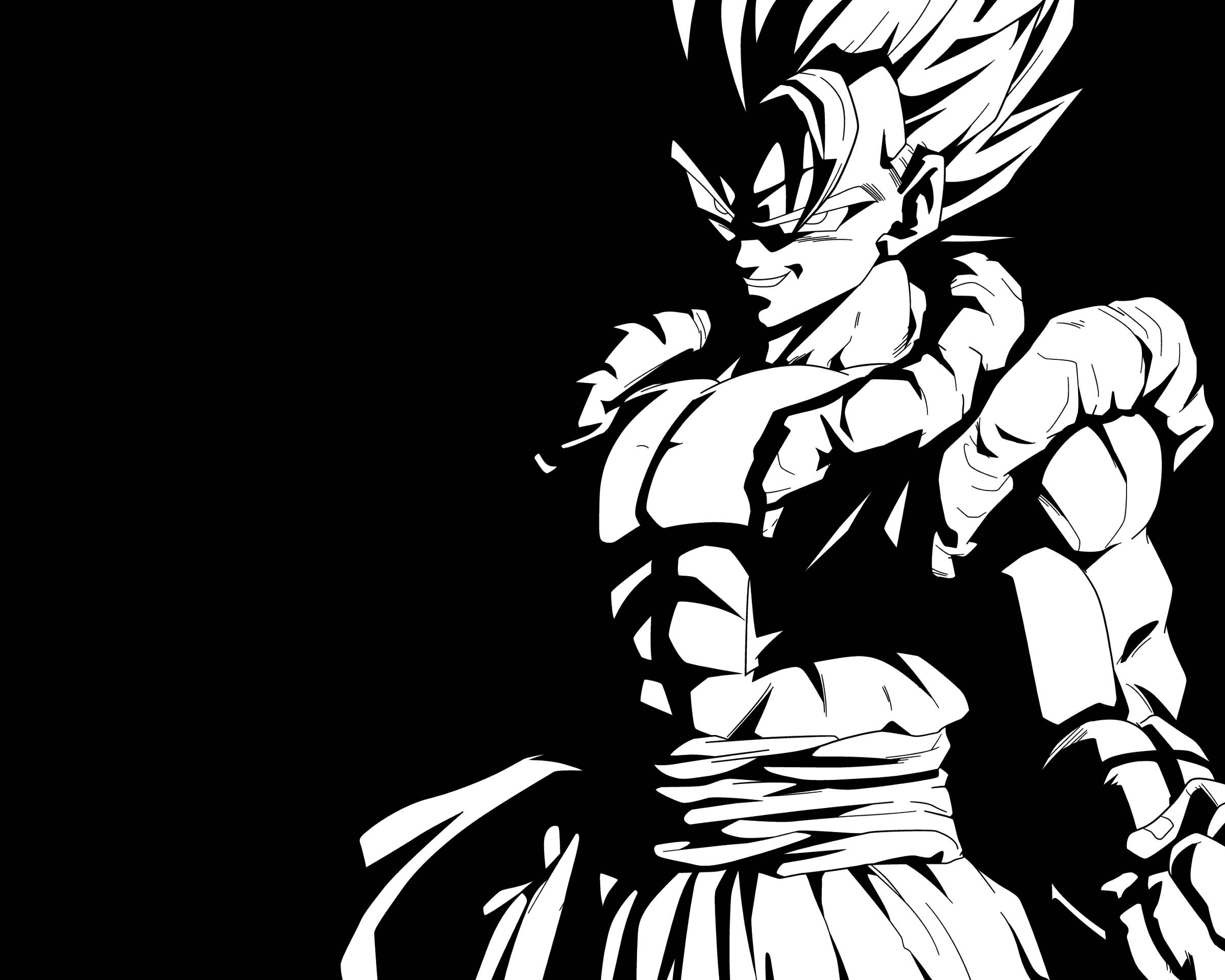 Gogeta, black and white, spiky hair, Full HD Desktop Wallpaper