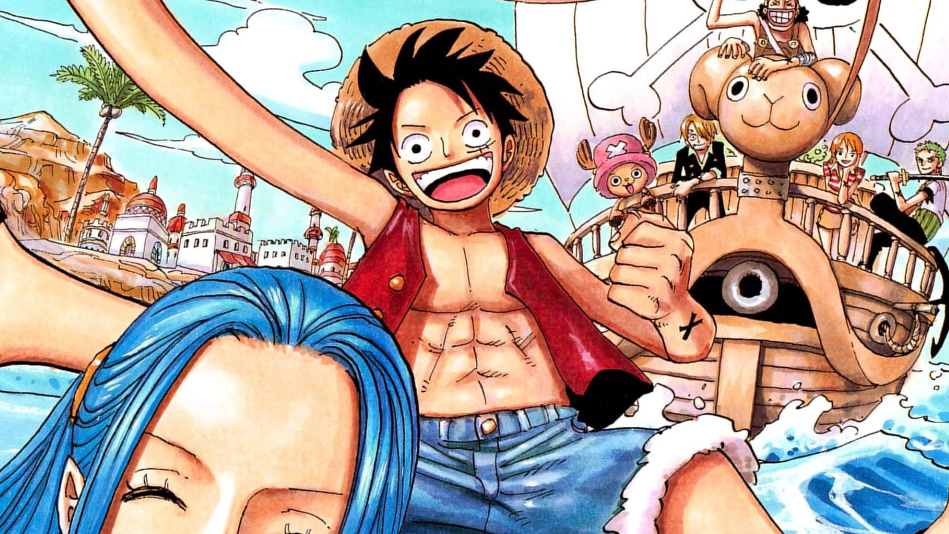 Going Merry, straw hat, pirate captain, Full HD Desktop Wallpaper