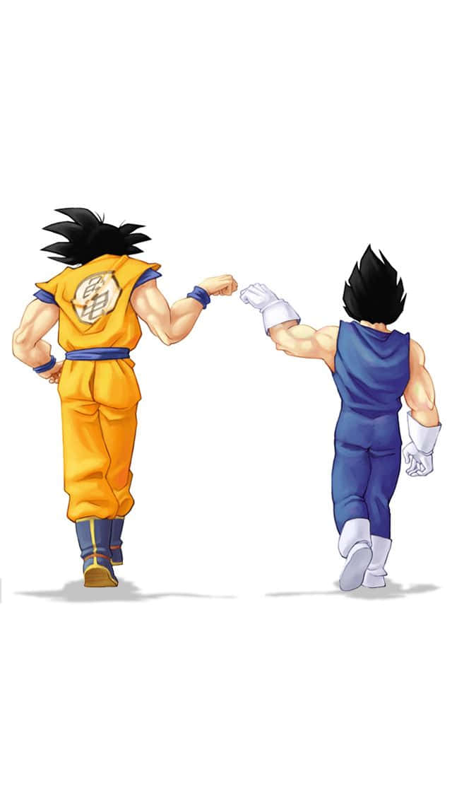 Goku, Vegeta, orange gi, SD Phone Wallpaper