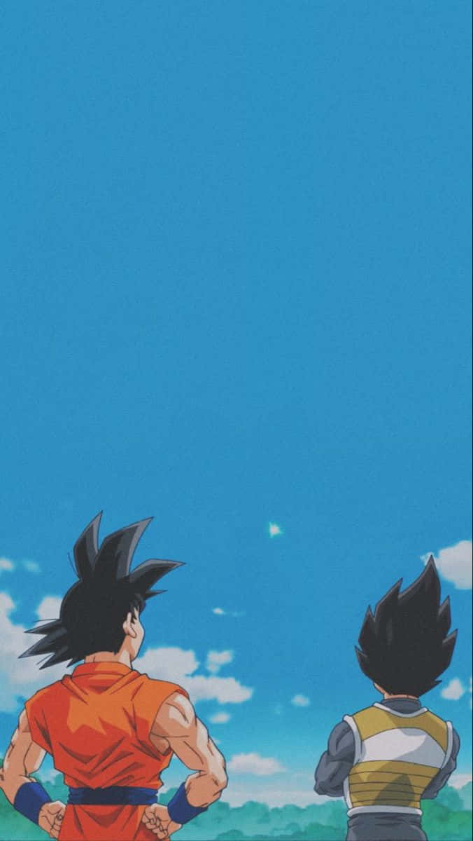 Goku, Vegeta, orange and yellow gi, SD Phone Wallpaper
