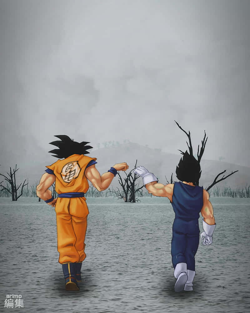 Goku, Vegeta, orange gi, SD Phone Wallpaper
