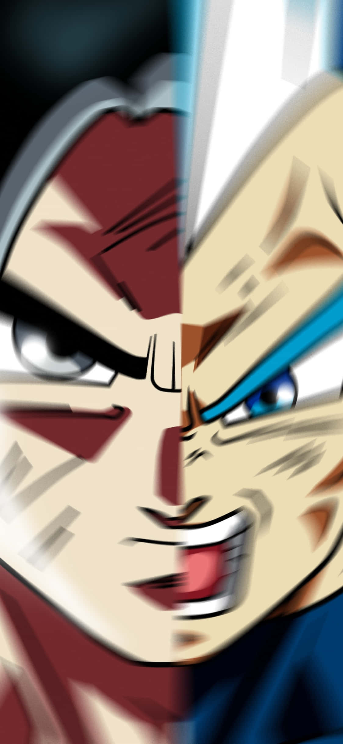 Goku, Vegeta, anime warrior, Full HD Phone Wallpaper