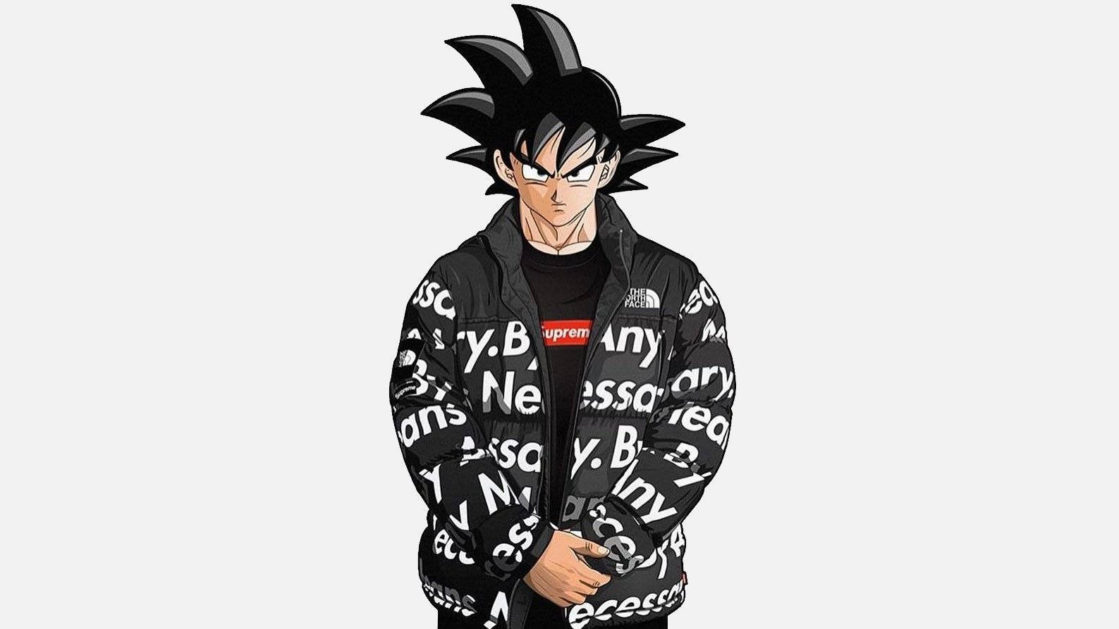 Goku, black puffer jacket, white text, HD Desktop Wallpaper