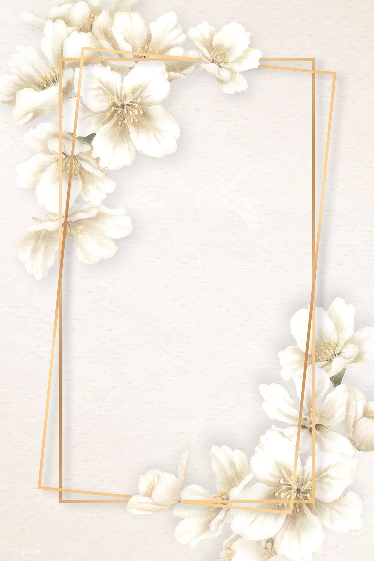 white flowers, gold geometric border, soft textured background, HD Phone Wallpaper