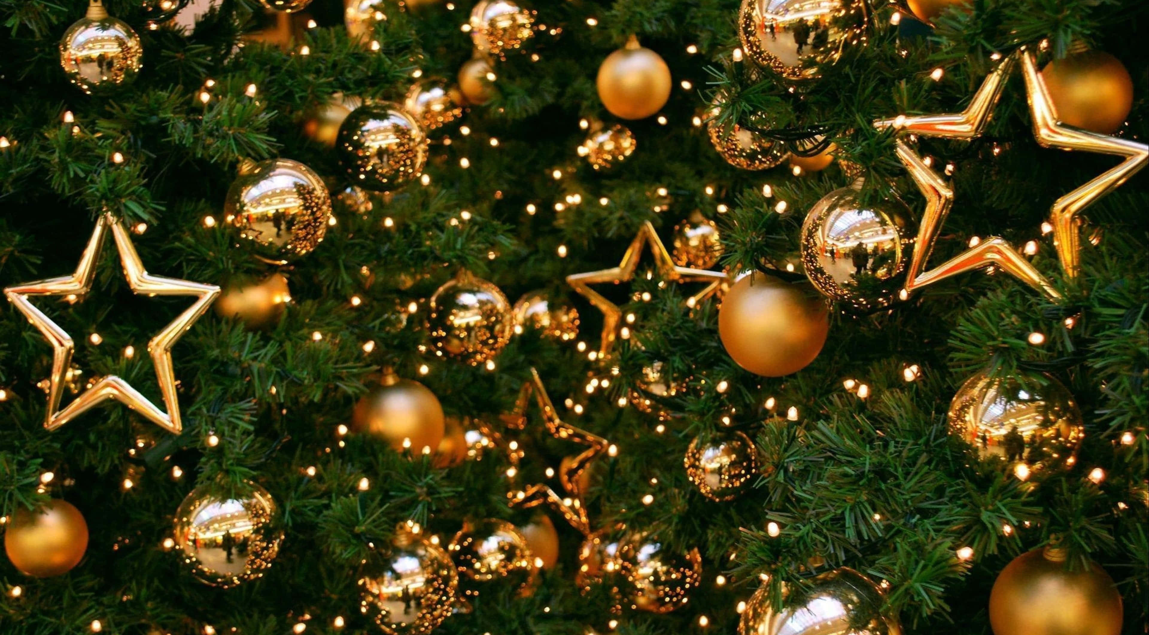 Gold Christmas, lush green Christmas tree, shimmering gold ornaments, 4K Desktop Wallpaper