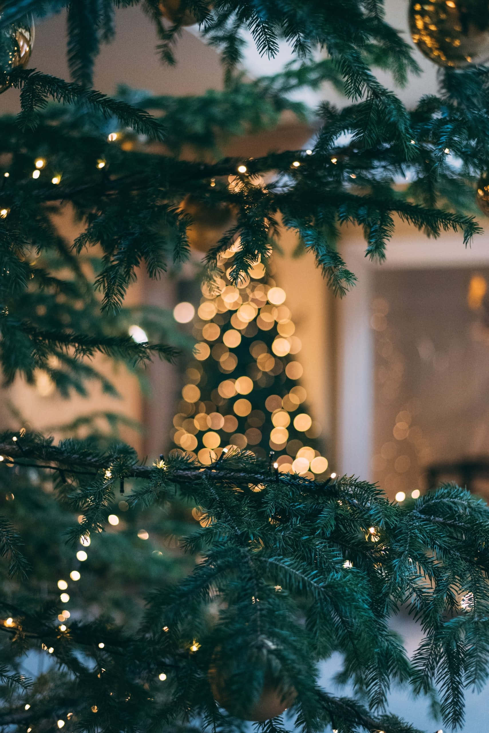 Glowing Gold Christmas Decoration, evergreen branches, twinkling fairy lights, 2K Phone Wallpaper