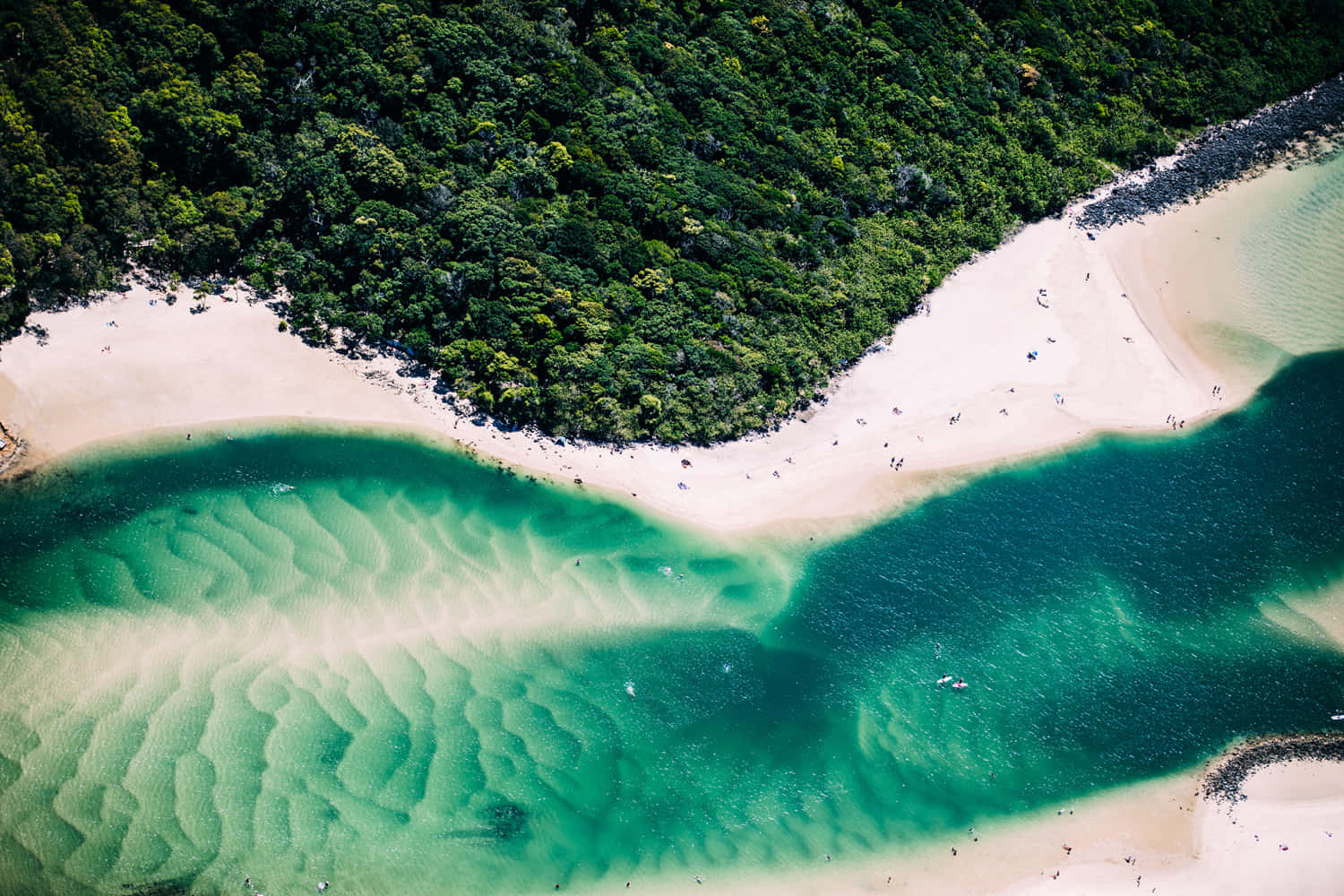 Gold Coast, beach, turquoise waters, HD Desktop Wallpaper