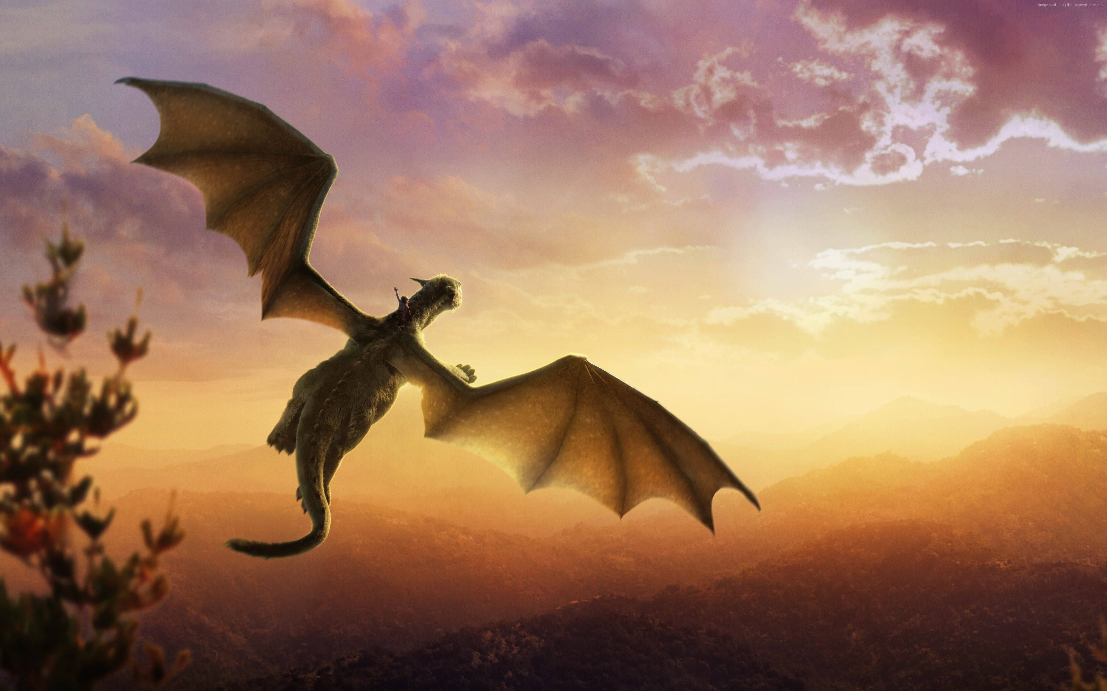 Gold dragon, sunset sky, rolling mountains, 4K Desktop Wallpaper