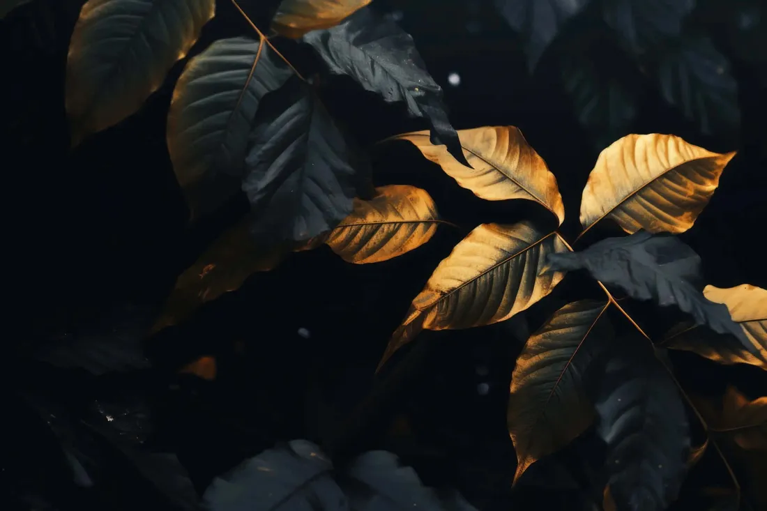 Gold Leaf