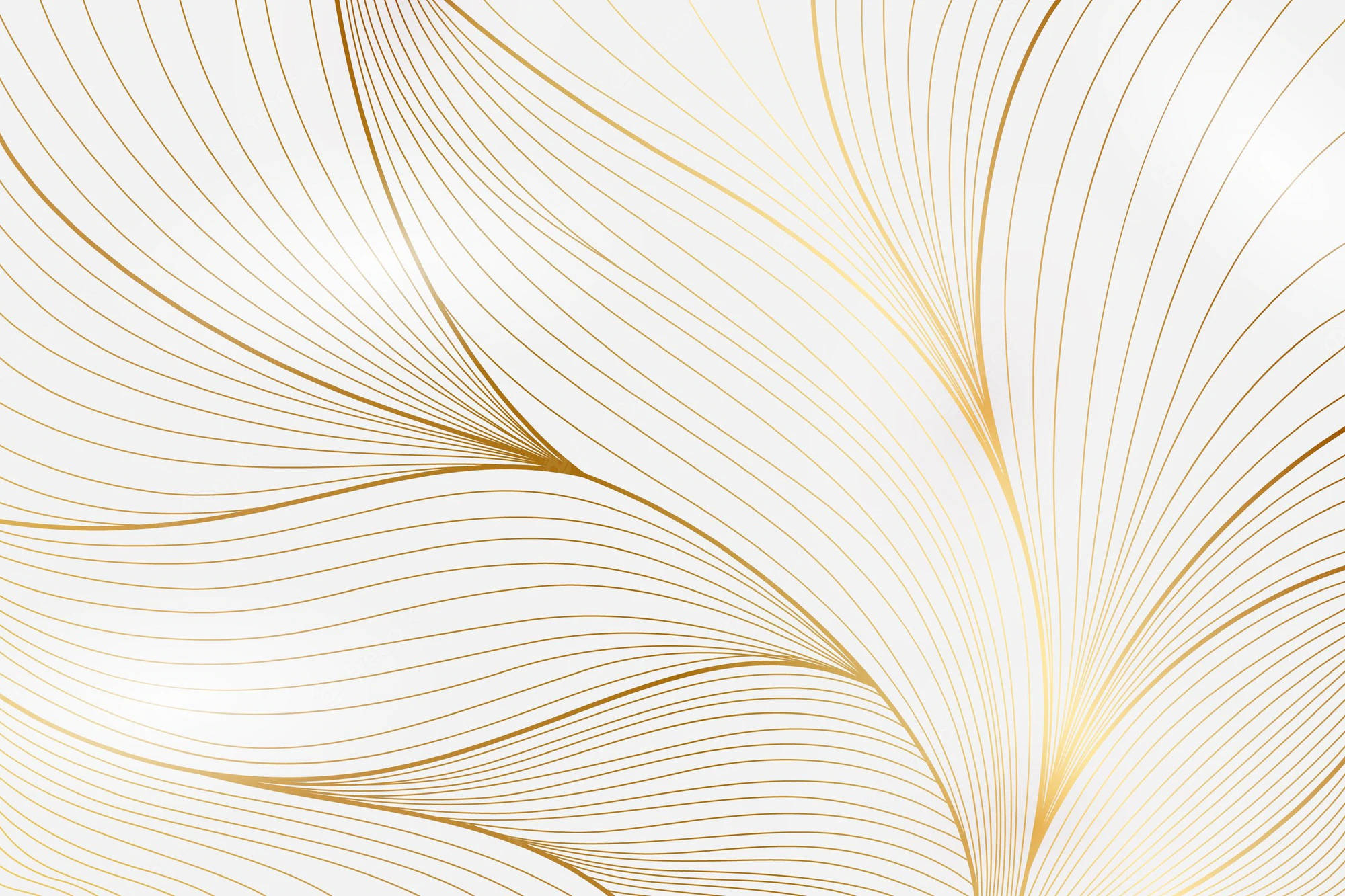 white and gold leaves, golden lines, soft white background, Full HD Desktop Wallpaper