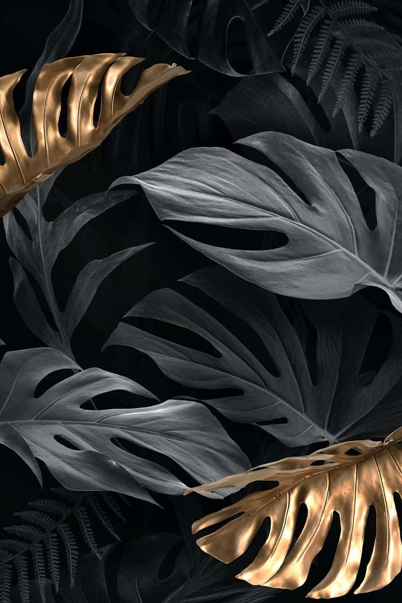 monstera, fern, metallic gold, SD Phone Wallpaper