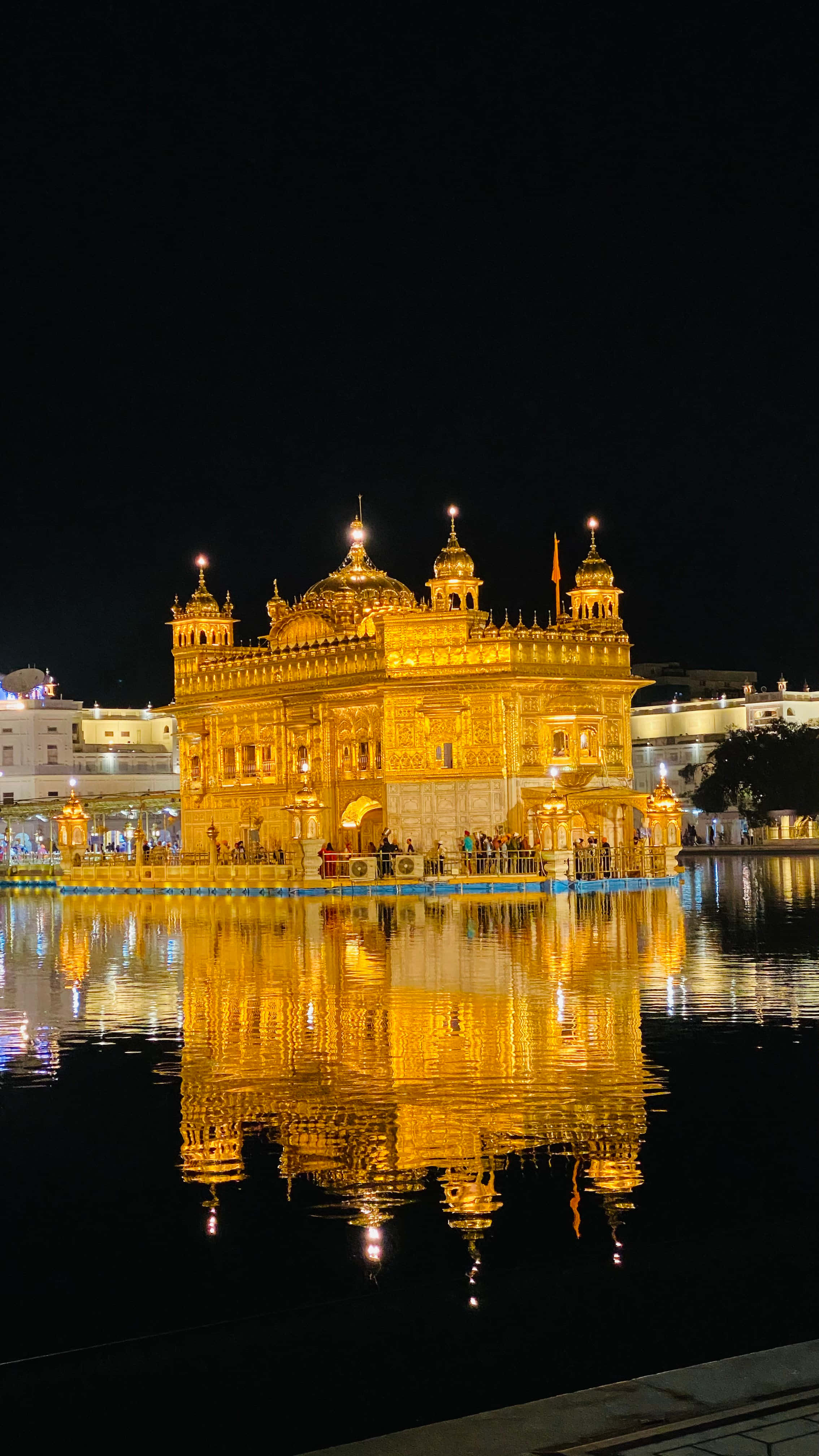 Golden Temple, lights on, night, 4K Phone Wallpaper
