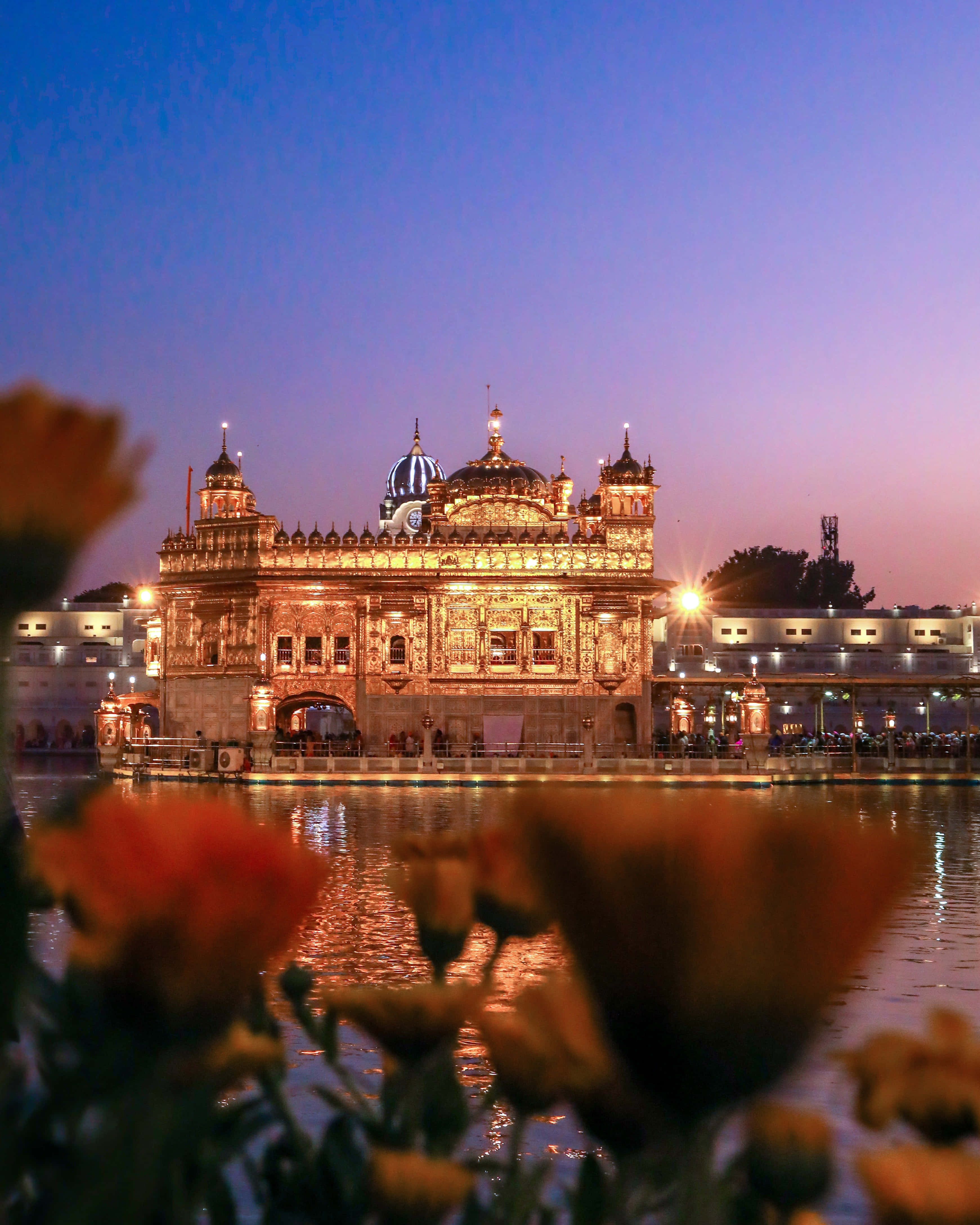 Golden Temple, dusk, warm lights, 4K Phone Wallpaper