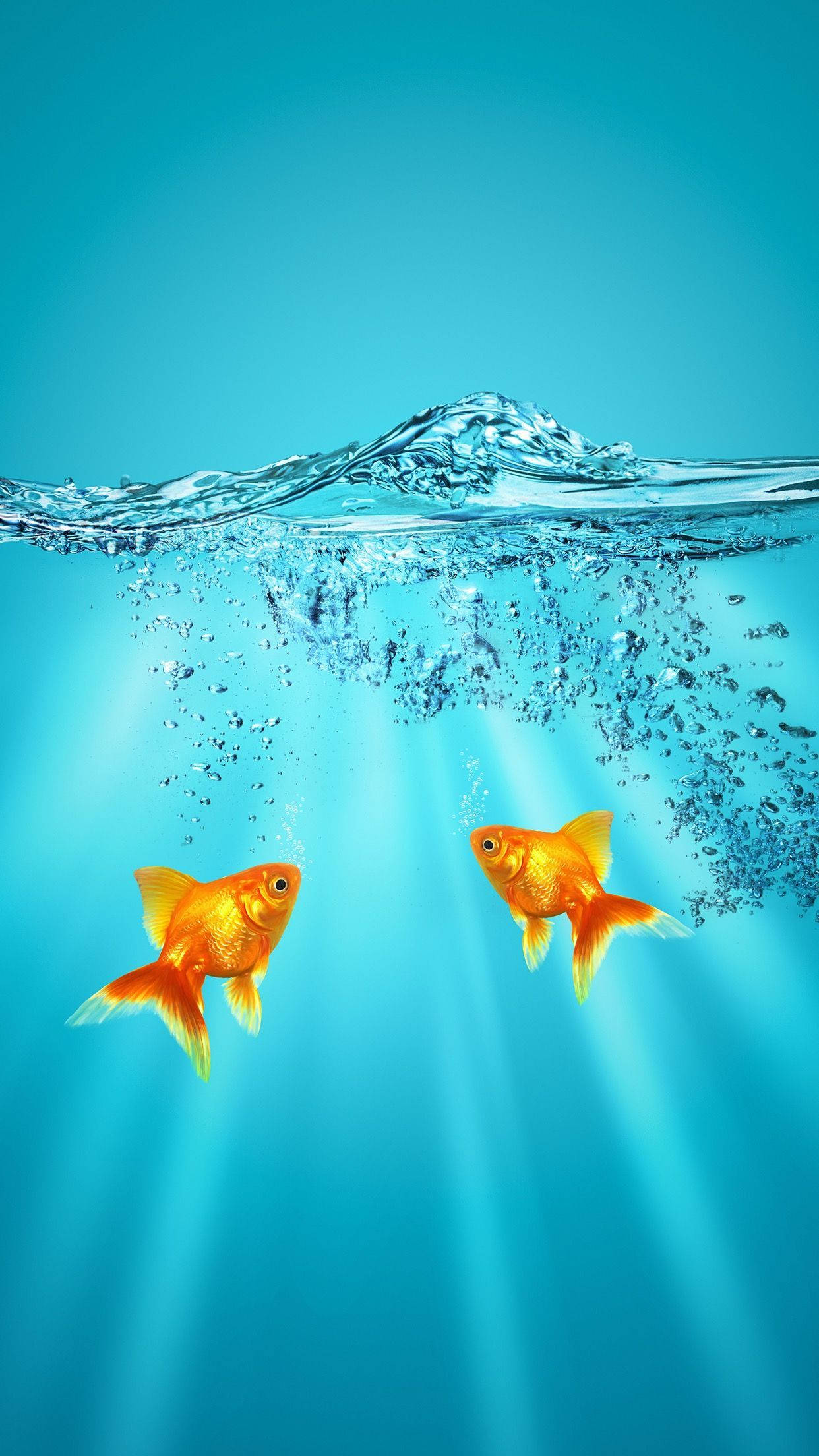 goldfish, blue water, sunlit water surface, Full HD Phone Wallpaper