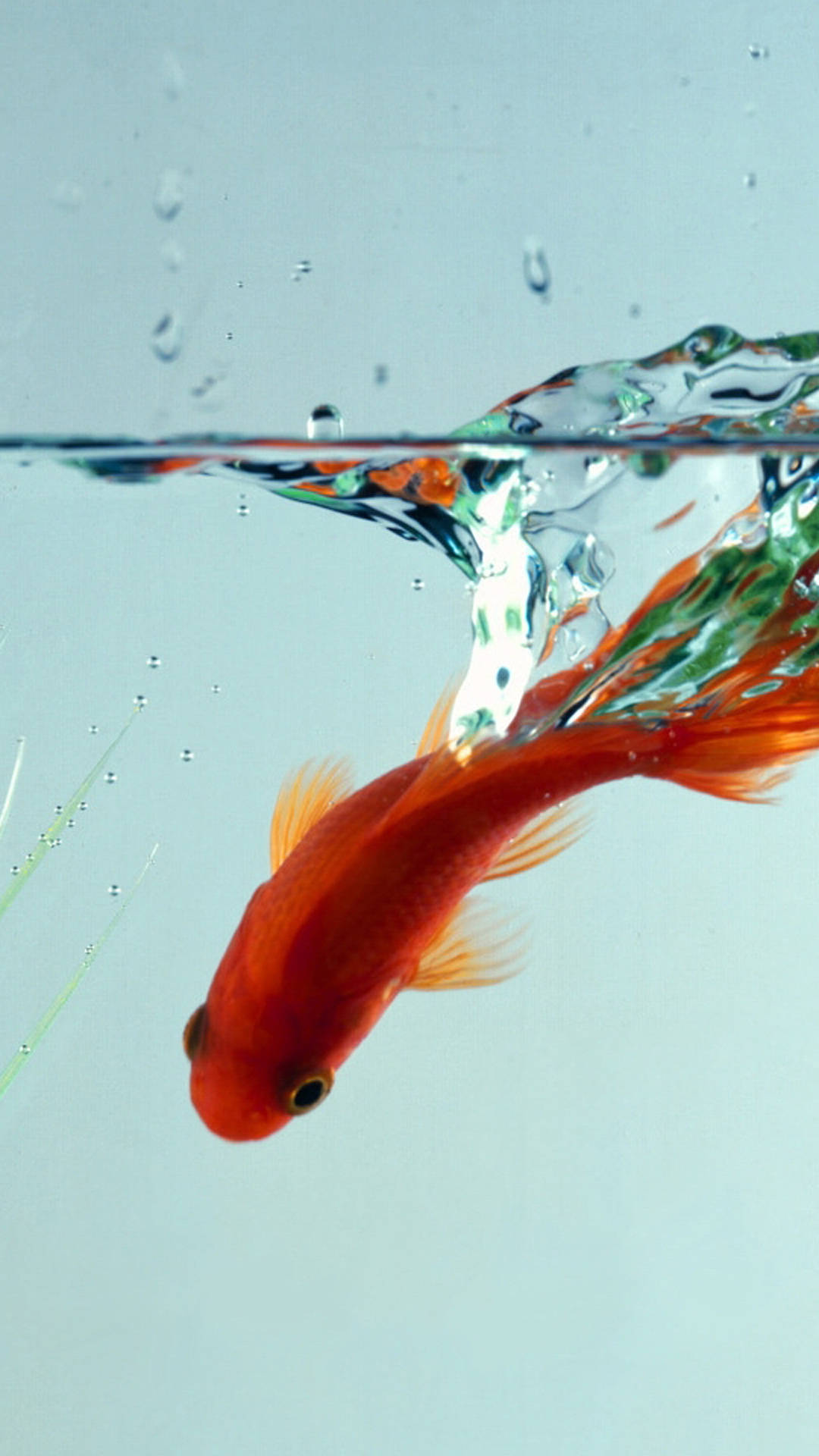 goldfish, bowl, iPhone, Full HD Phone Wallpaper