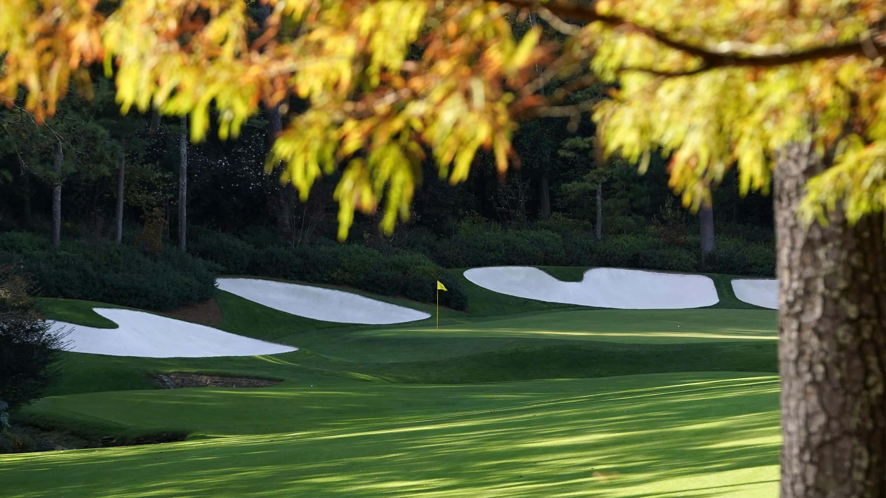 golf course, autumn leaves, sand traps, 2K Desktop Wallpaper