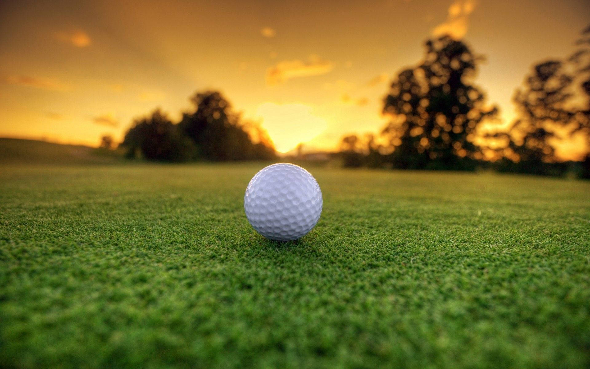 golf ball, sunset, golden sunset light, Full HD Desktop Wallpaper