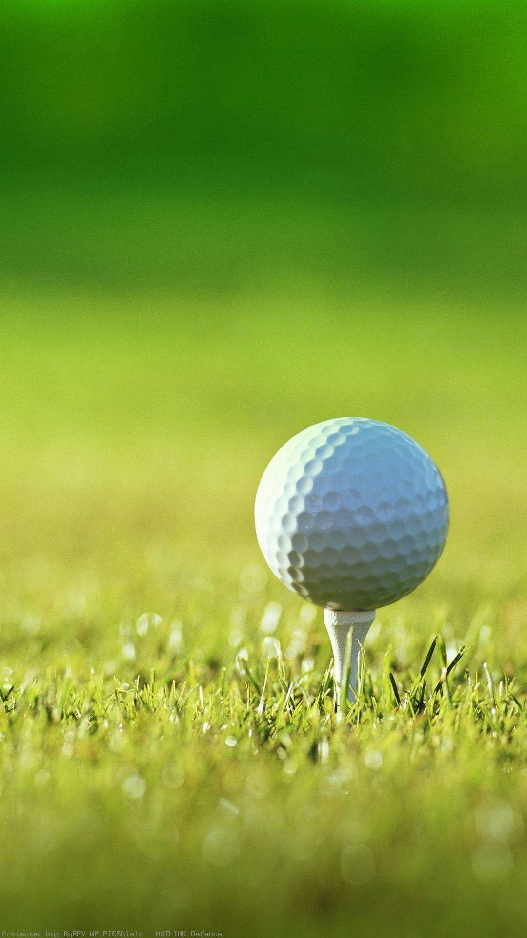 Sunny Day Golf iPhone, white golf ball, tee, Full HD Phone Wallpaper