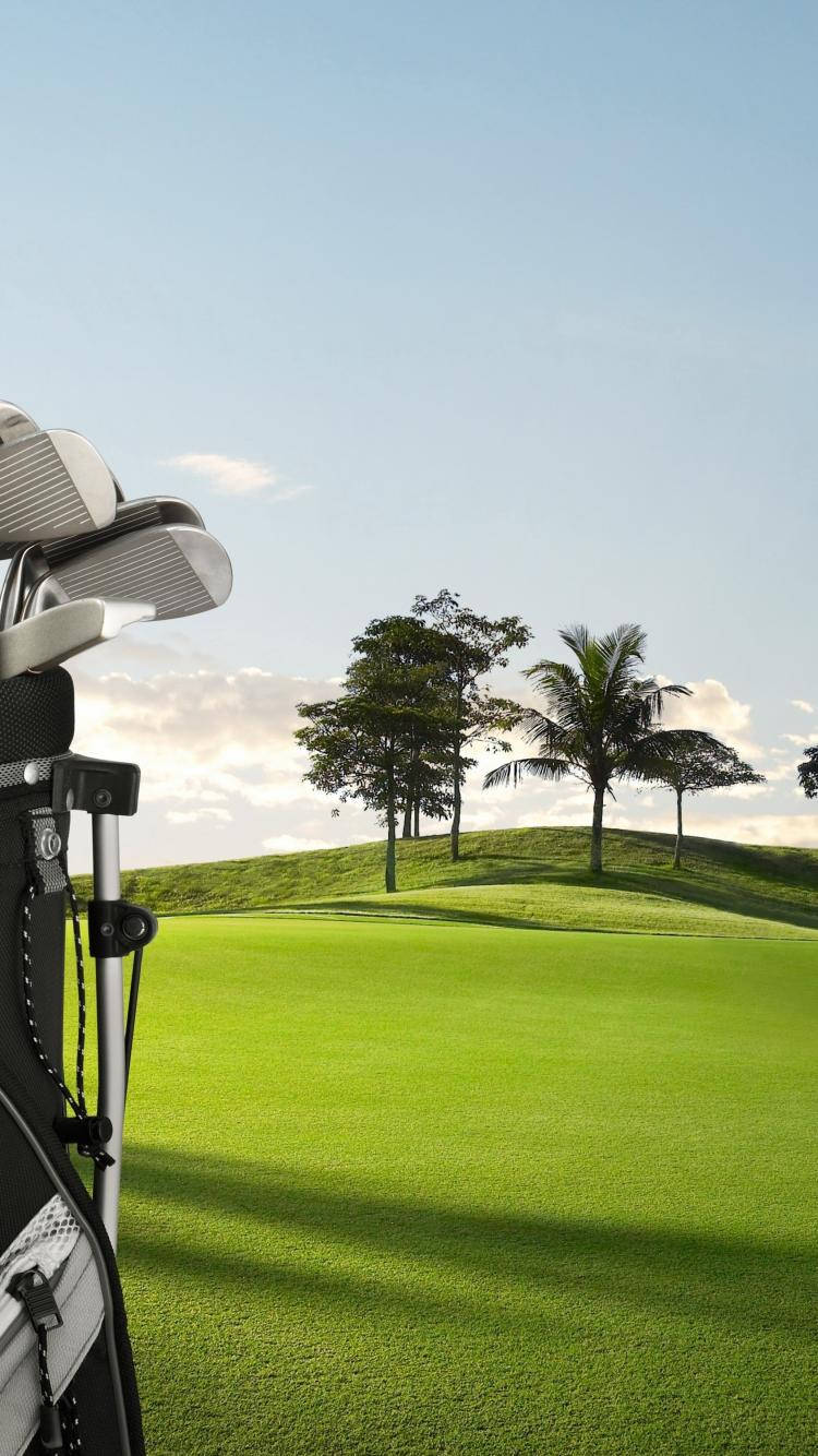 Golf iPhone, green fairway, palm trees, HD Phone Wallpaper