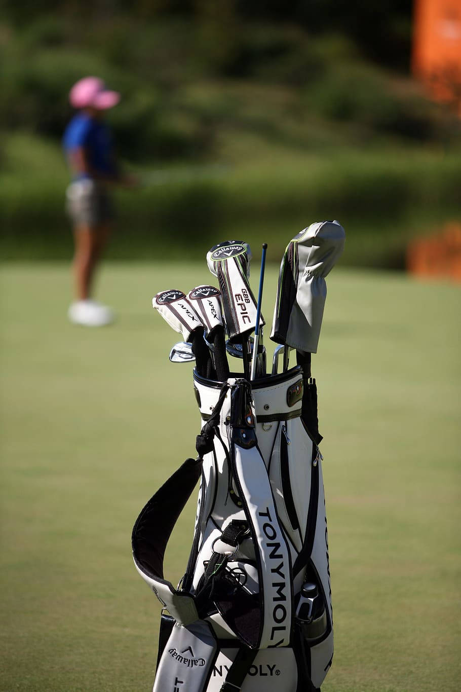golf bag, clubs, sunlit green fairway, HD Phone Wallpaper