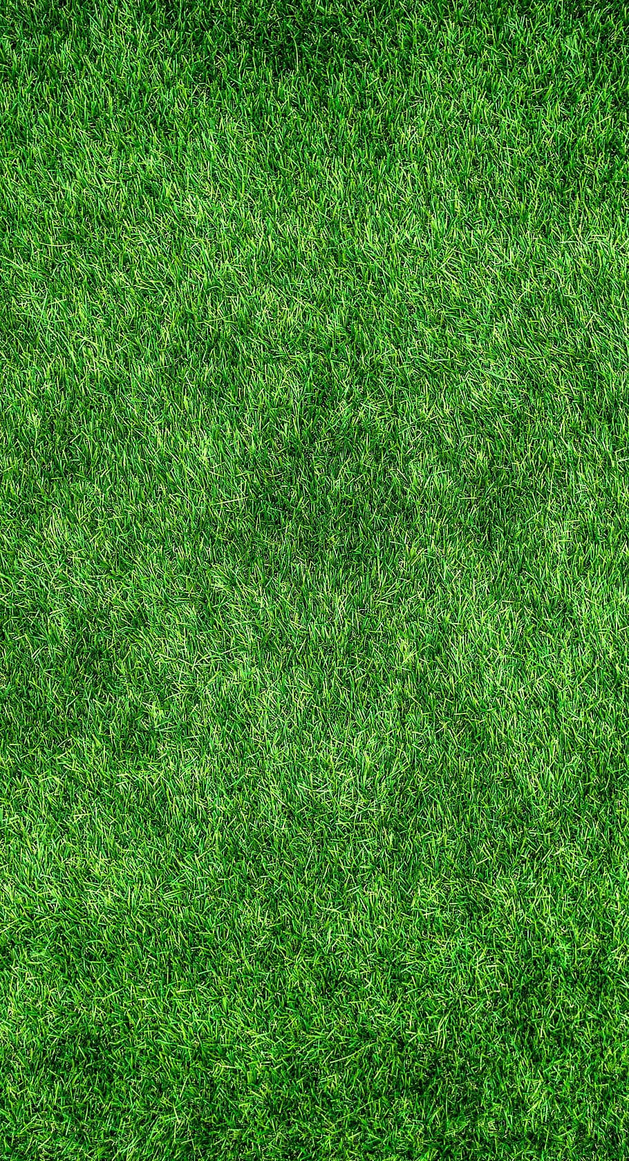 Grass Golf Phone, lush vibrant green grass, natural texture, HD Phone Wallpaper