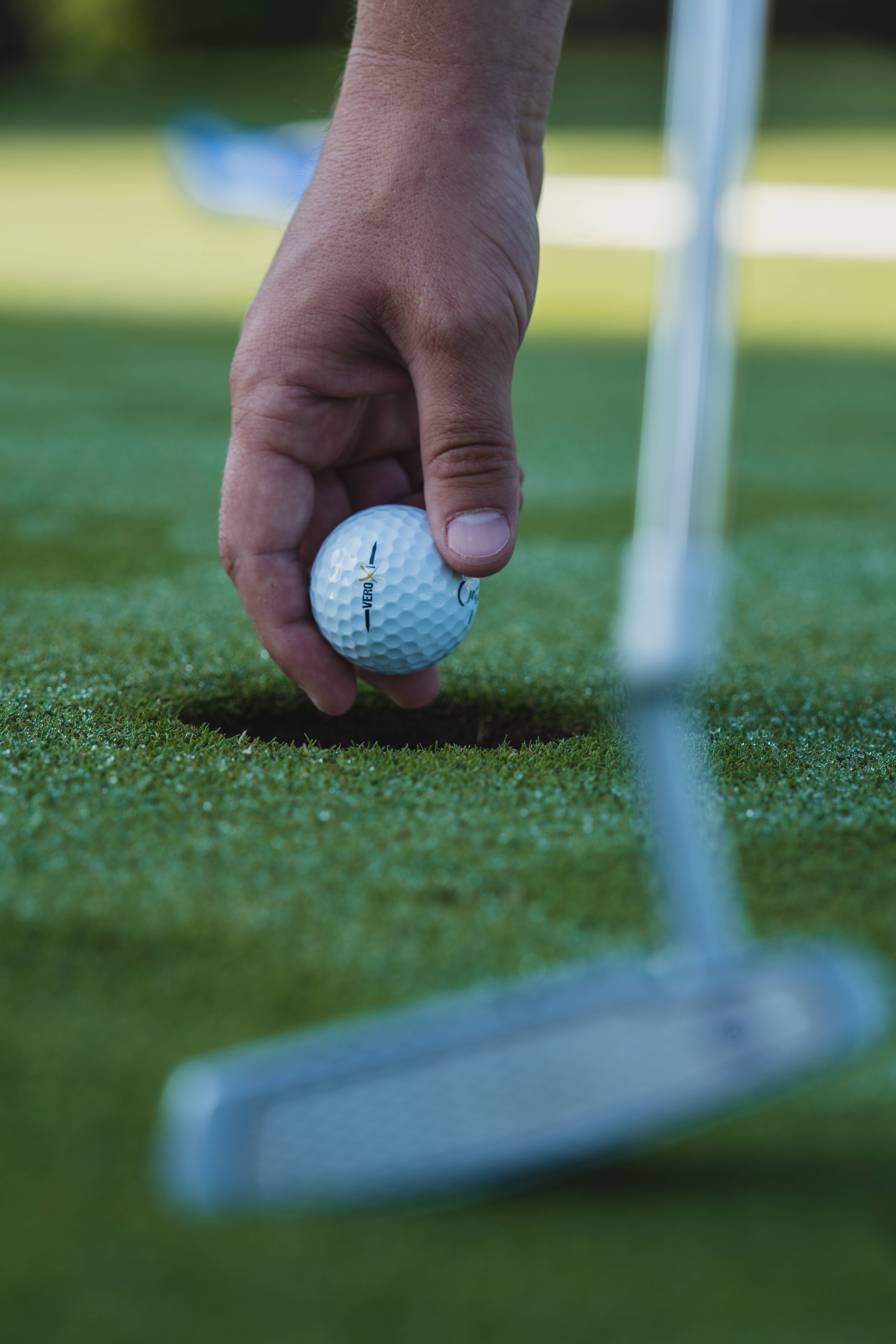 golf ball, cup, putting green, 5K Phone Wallpaper