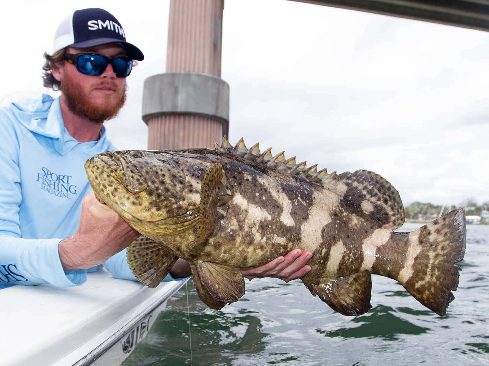 Goliath Grouper, bearded fisherman, blue hoodie, HD Desktop Wallpaper