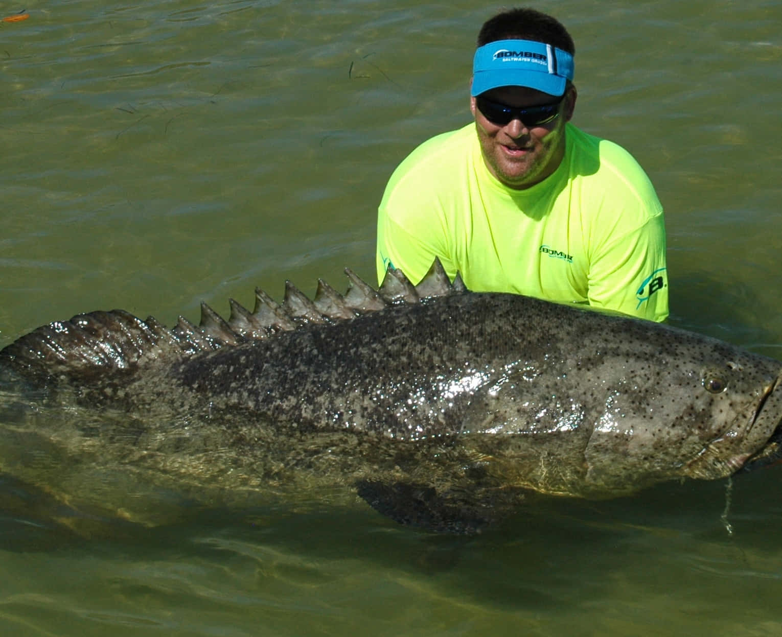 Goliath Grouper, bright yellow shirt, blue visor, HD Desktop Wallpaper