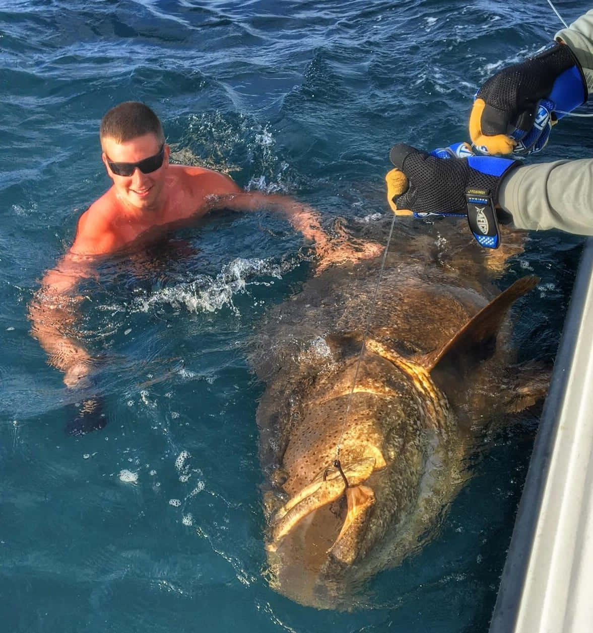 Goliath grouper, shirtless man, sunglasses, SD Phone Wallpaper