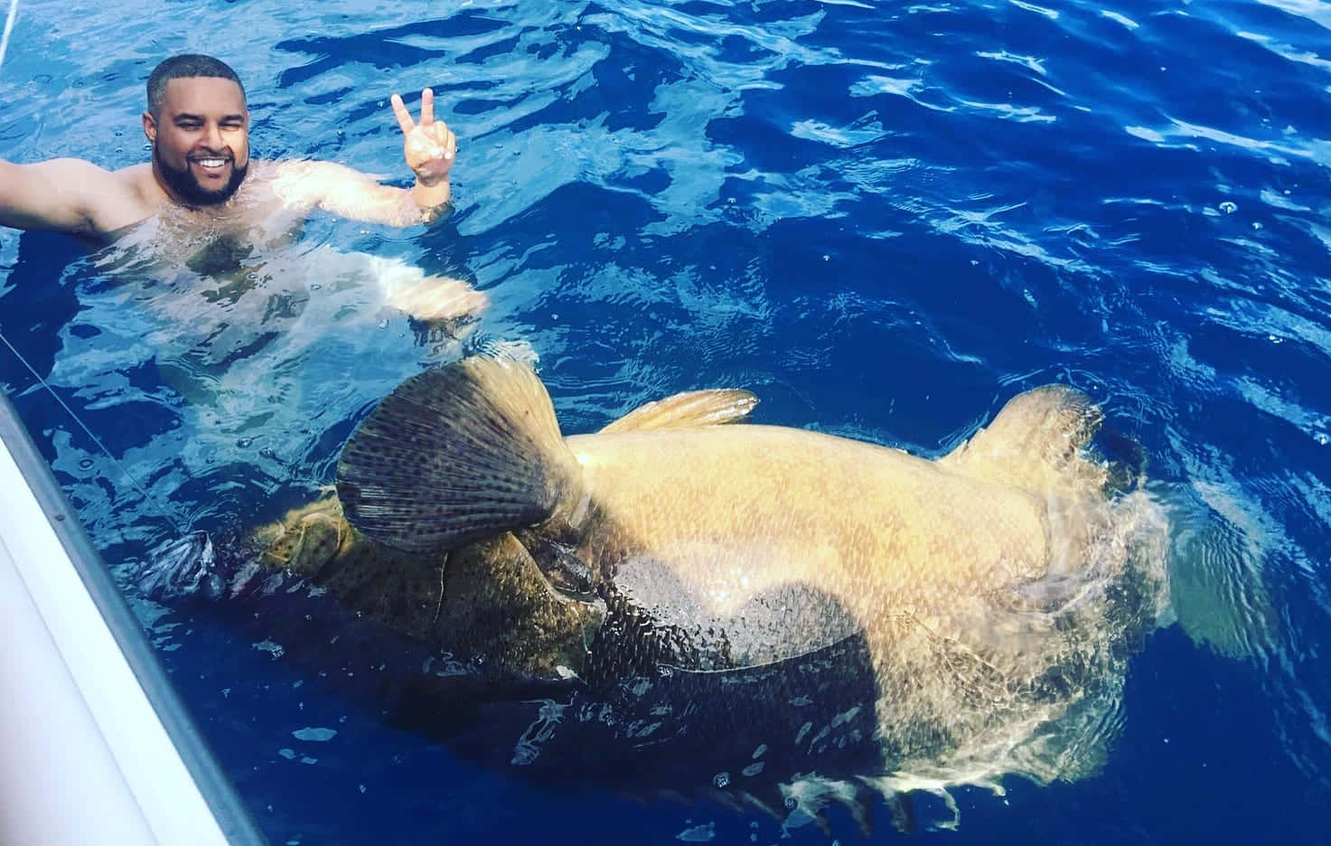 man, goliath grouper, clear blue ocean water, HD Desktop Wallpaper