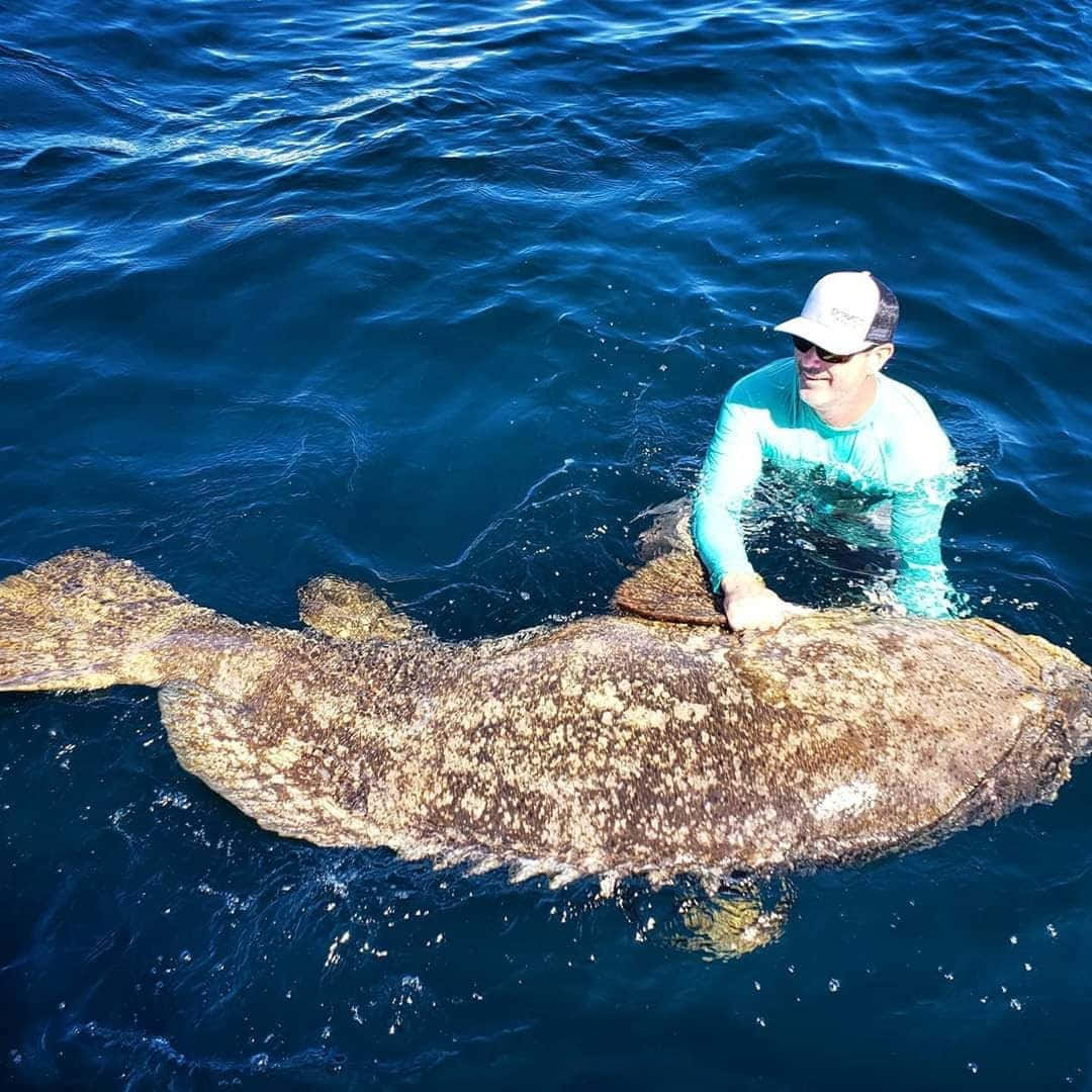 Goliath Grouper, teal wetsuit, white cap, SD Desktop Wallpaper