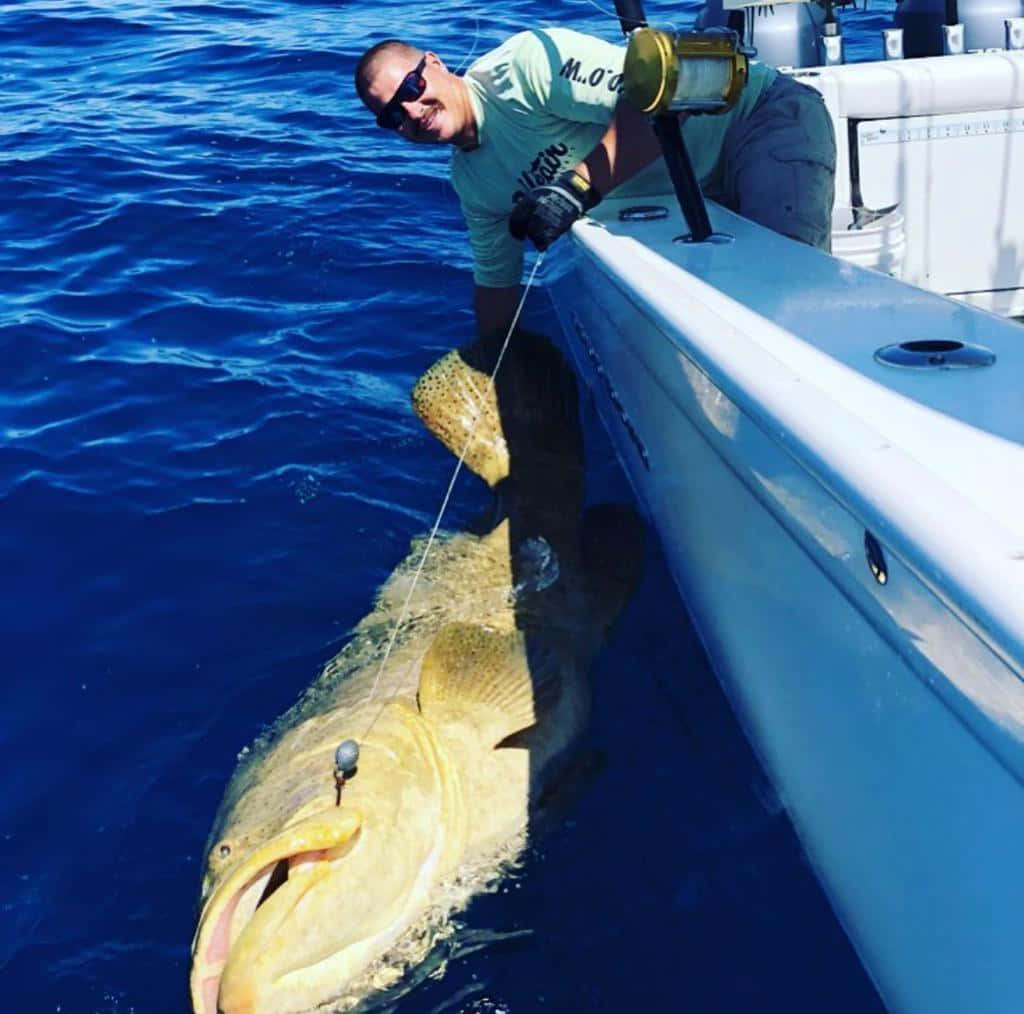 angler, giant grouper, white boat, SD Desktop Wallpaper