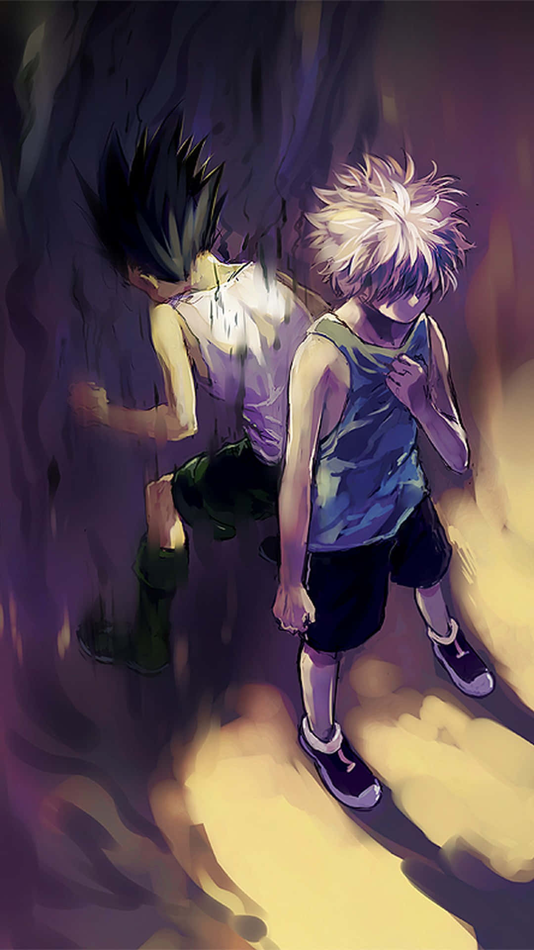 Gon And Killua, spiky black hair, spiky white hair, Full HD Phone Wallpaper
