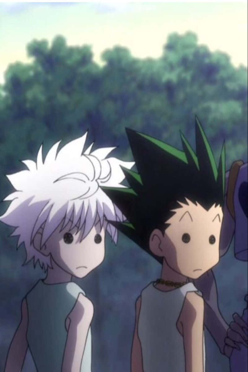 Gon, Killua, spiky hair, SD Phone Wallpaper