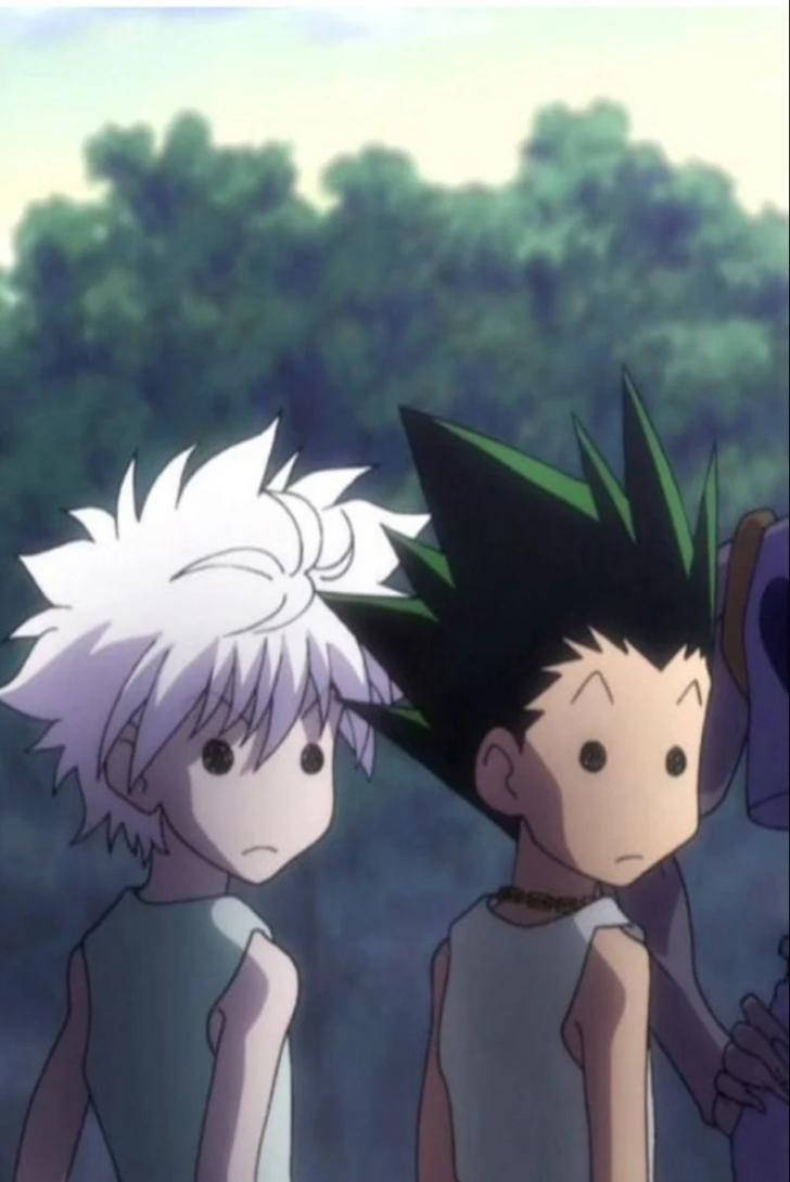 Killua, Gon, spiky hair, SD Phone Wallpaper