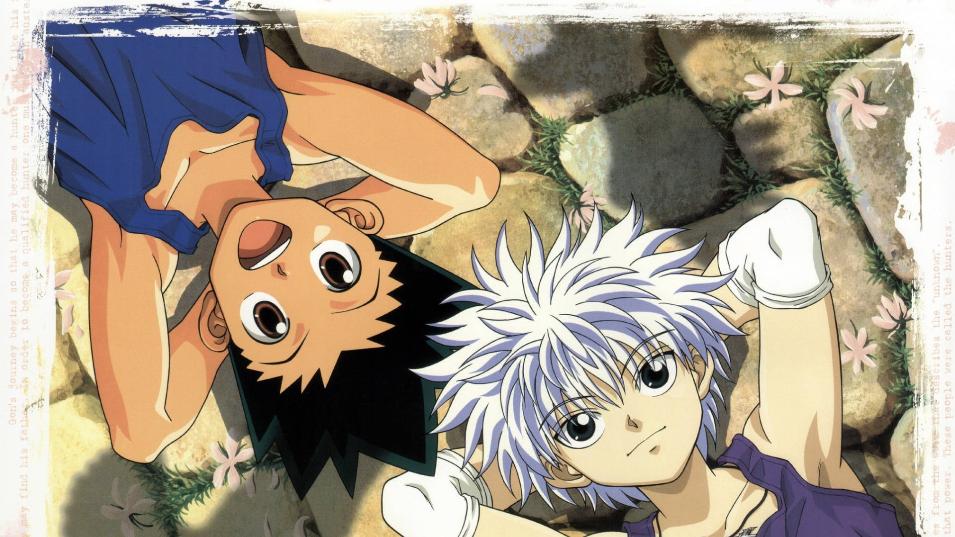 Gon, Killua, pink flowers, Full HD Desktop Wallpaper