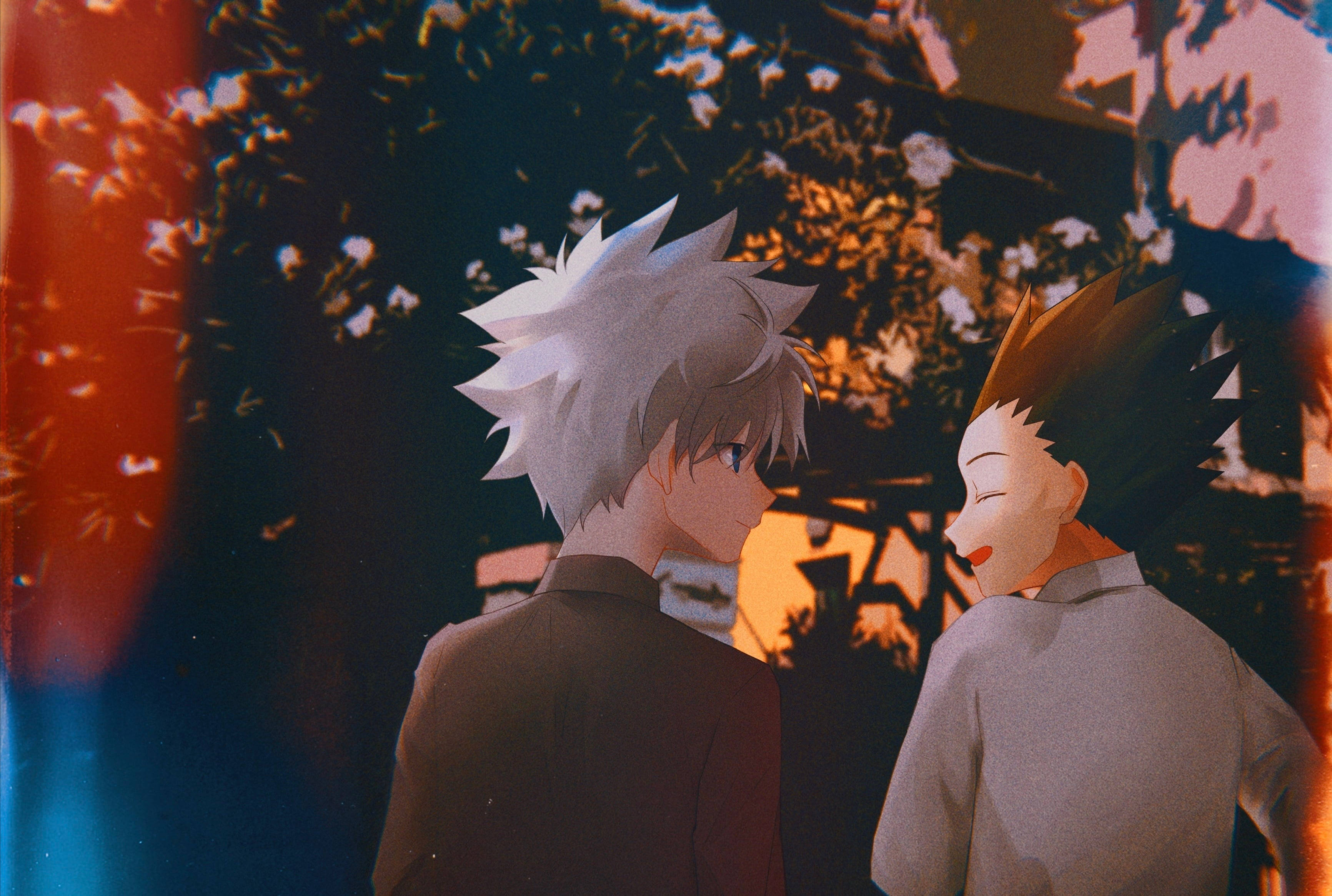 Gon And Killua, spiky hair, cherry blossoms, 2K Desktop Wallpaper