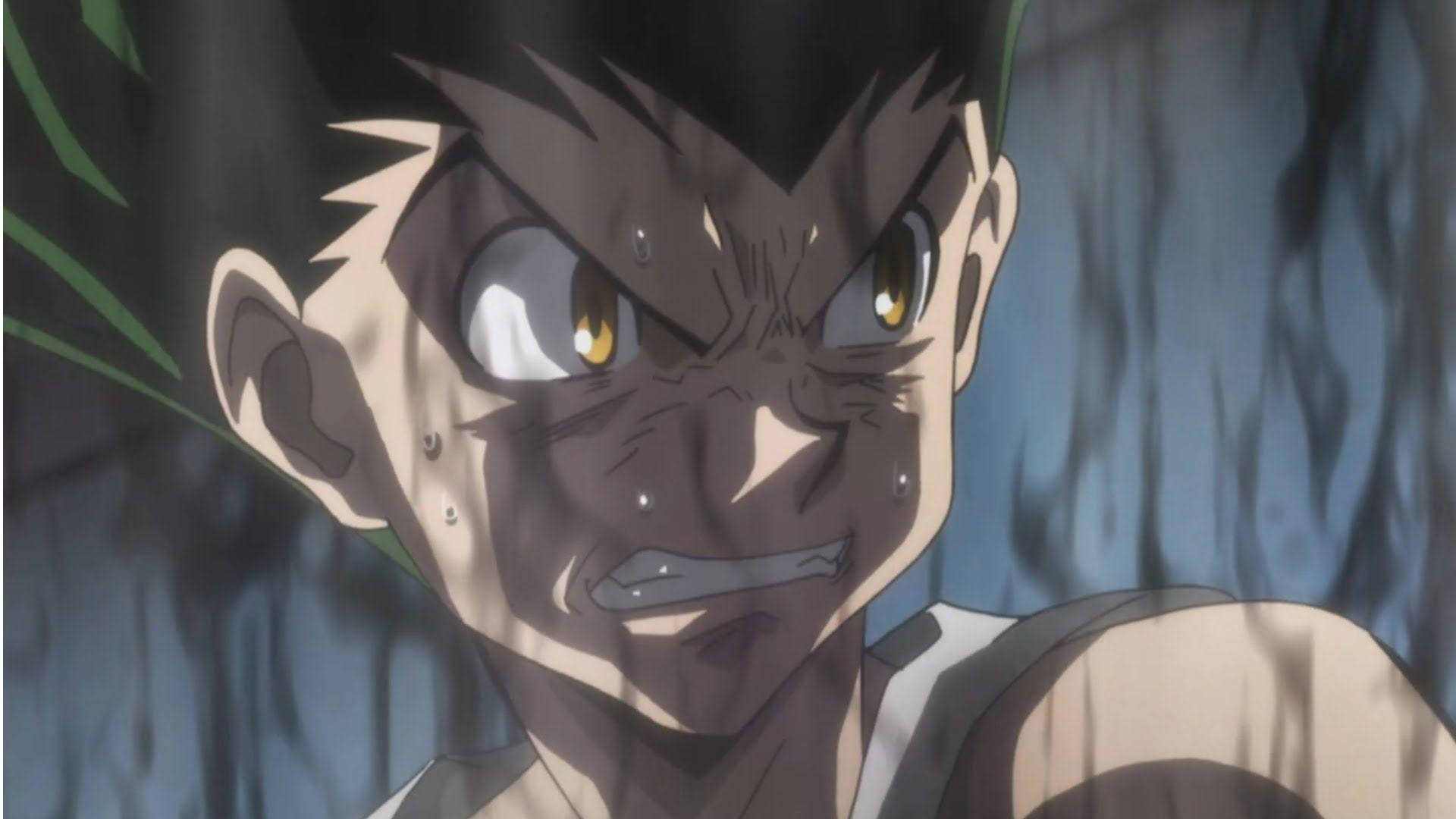 Gon Freecss, spiky black hair, determined eyes, Full HD Desktop Wallpaper