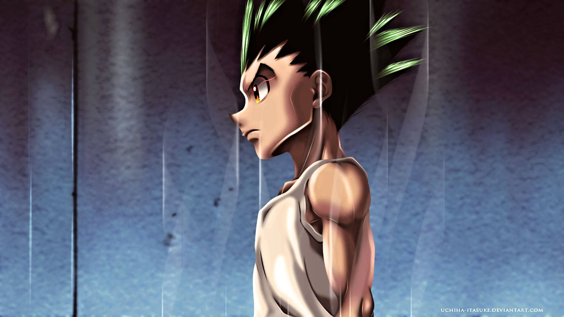 Gon Freecss, spiky green and black hair, rain, Full HD Desktop Wallpaper