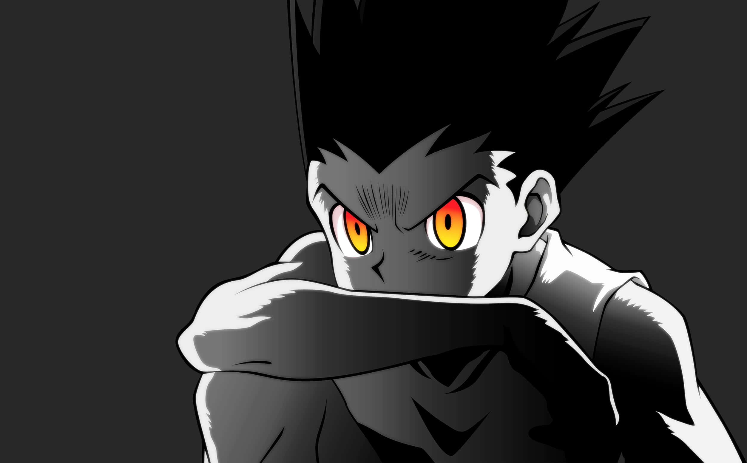 Gon, Hunter x Hunter, spiky black hair, Full HD Desktop Wallpaper
