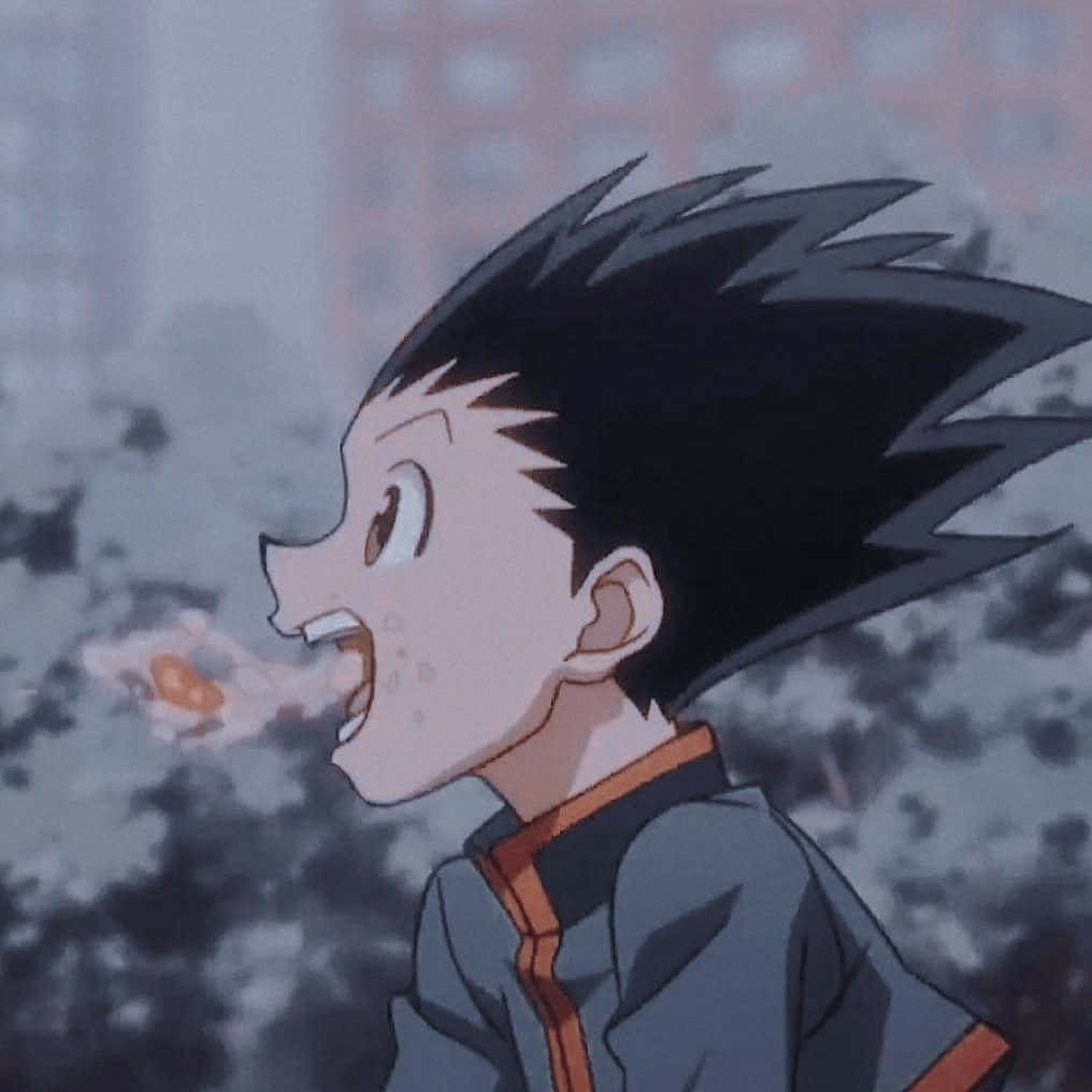 Gon, Hunter X Hunter, spiky black hair, SD Desktop Wallpaper
