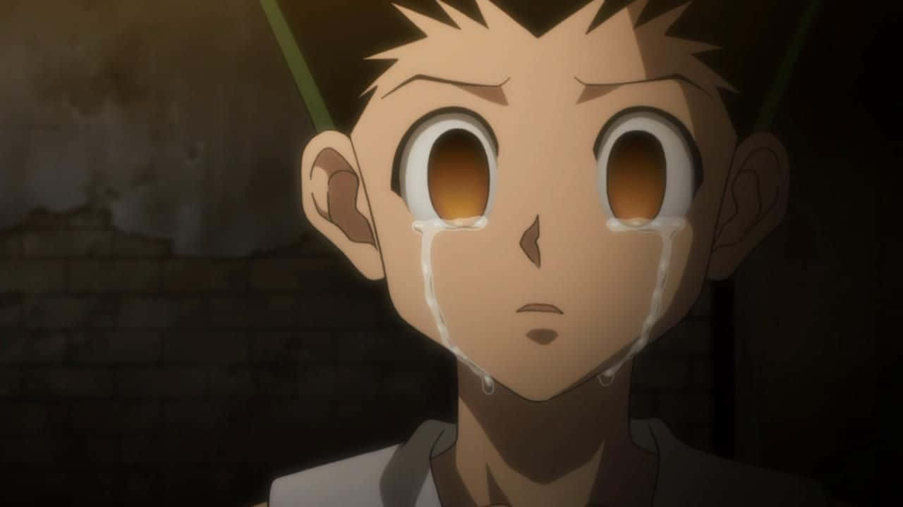 Gon, Hunter X Hunter, spiky hair, HD Desktop Wallpaper