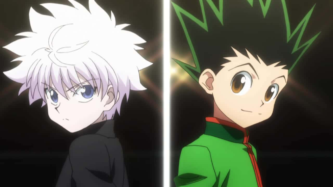 Gon, Killua, spiky hair, HD Desktop Wallpaper