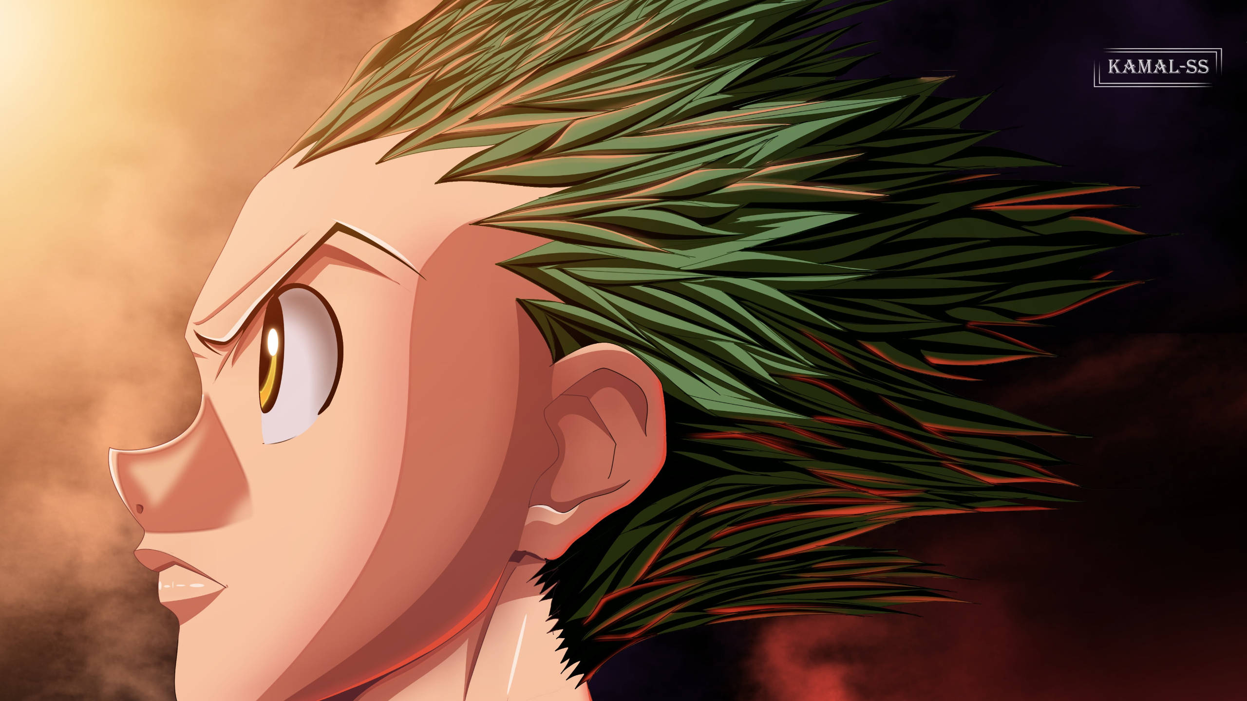 Gon, spiky green hair, golden eyes, 2K Desktop Wallpaper