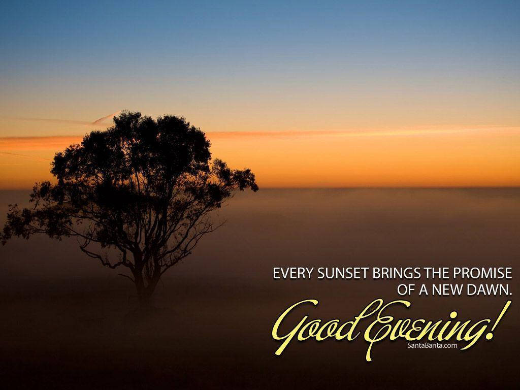 Good Evening Tree, dusk, orange and blue gradient sky, SD Desktop Wallpaper