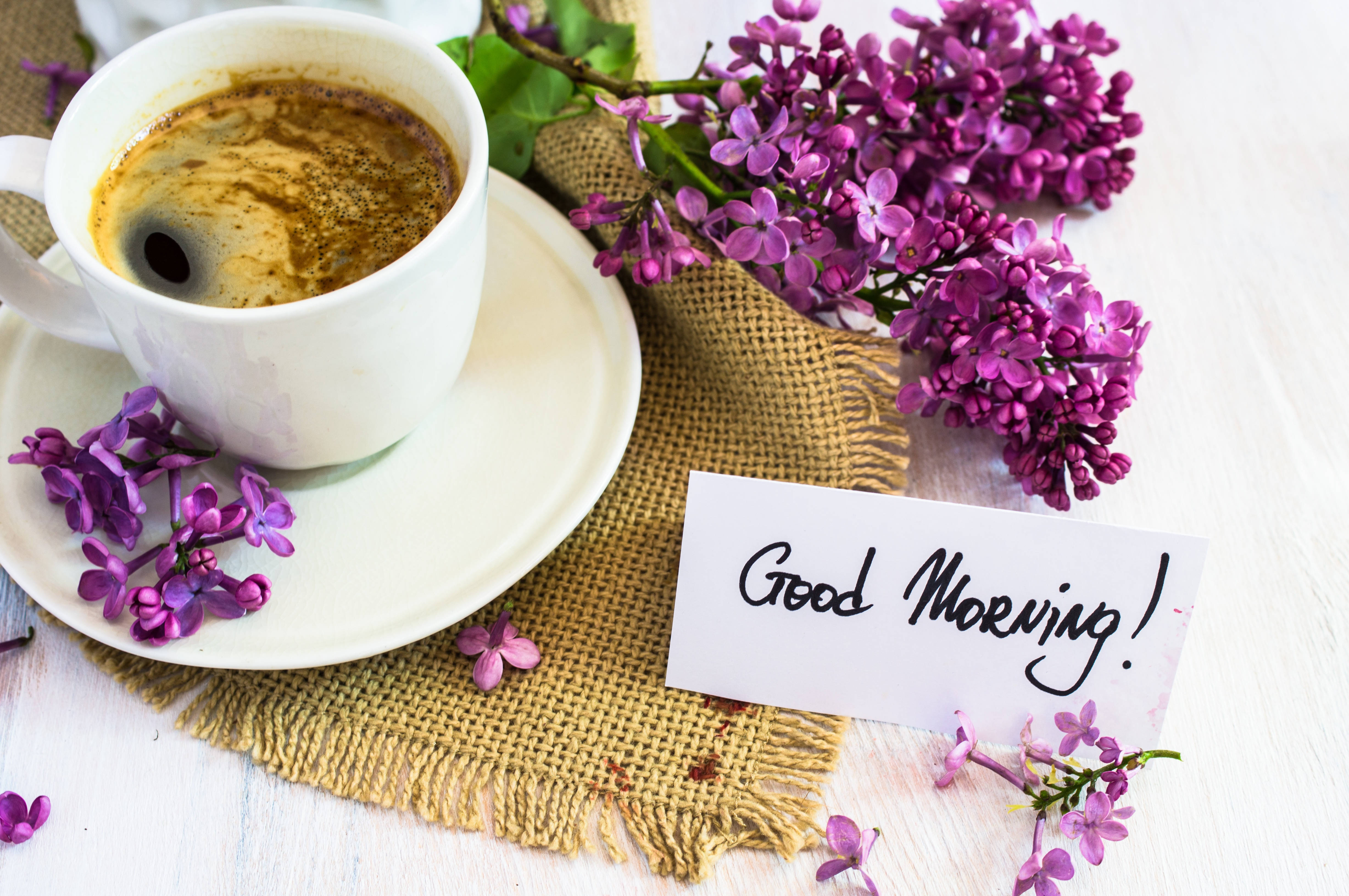 Good Morning Coffee, lilac, white cup, 4K Desktop Wallpaper