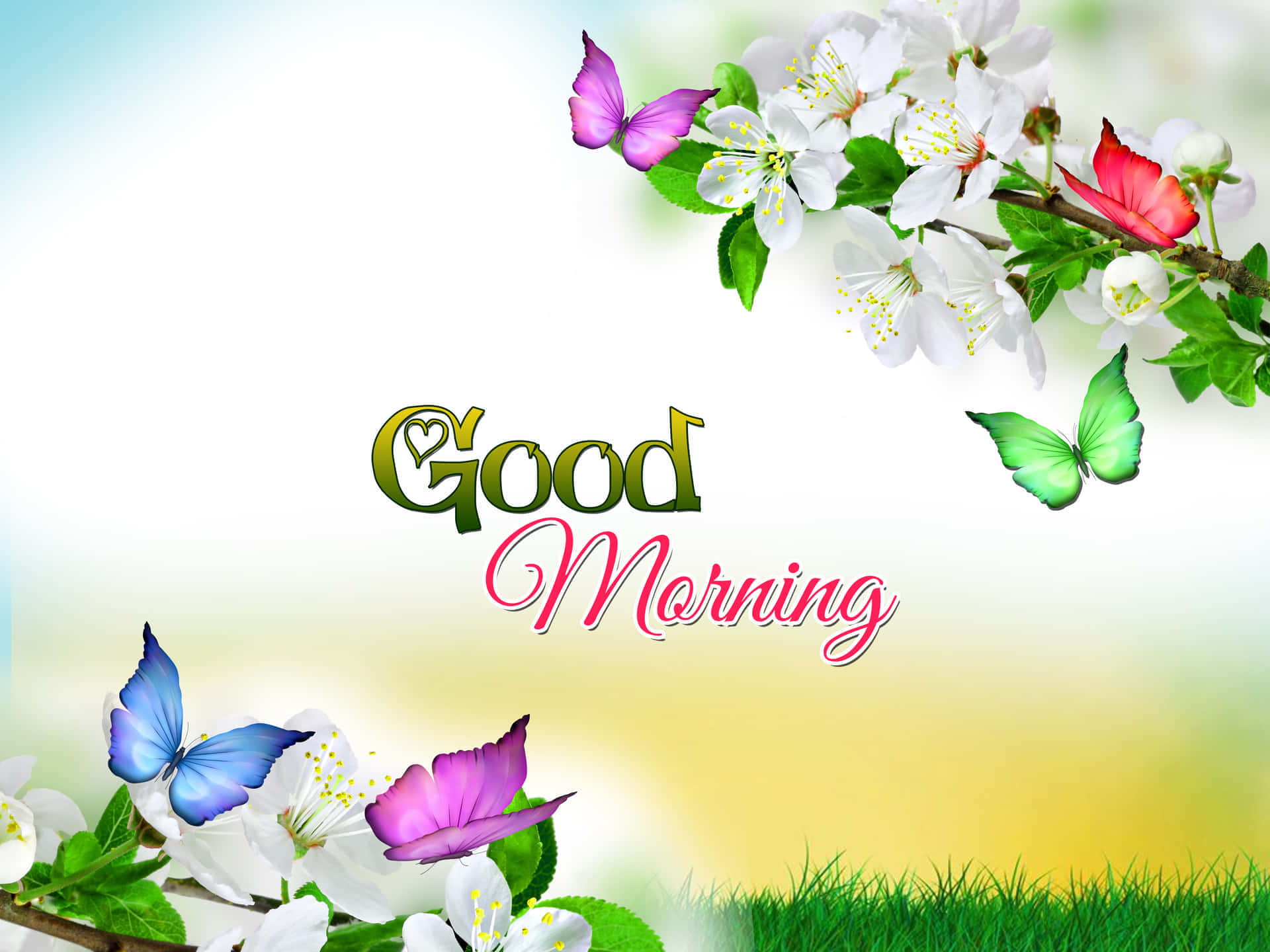 Good Morning Friday, butterflies, white blossoms, Full HD Desktop Wallpaper
