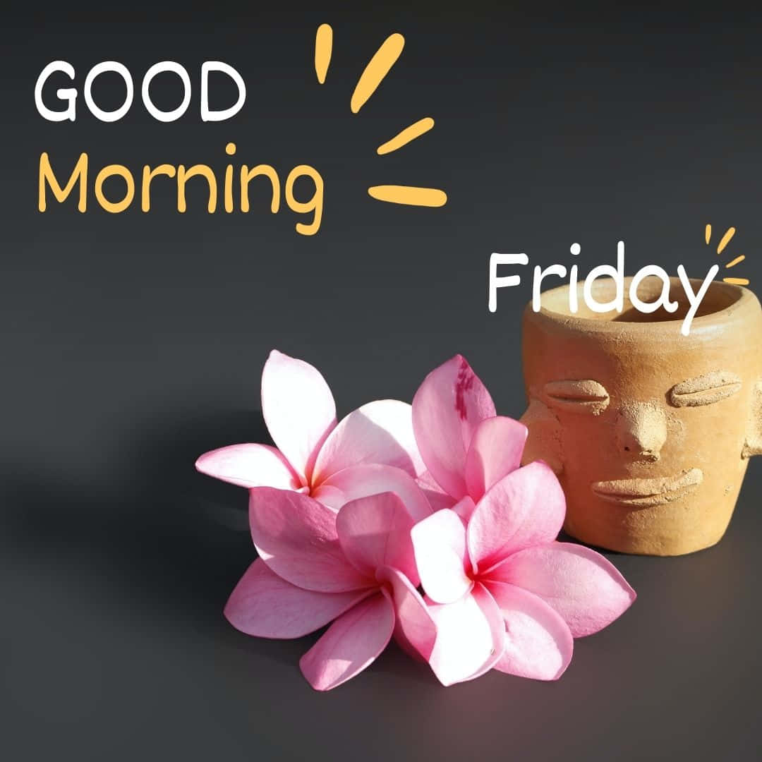 Good Morning Friday, pink frangipani flowers, terracotta face mug, SD Desktop Wallpaper