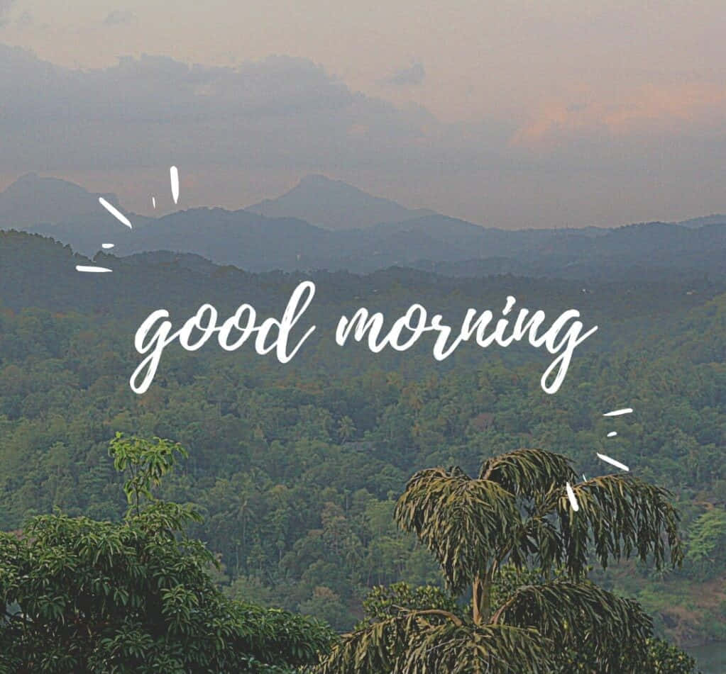 Good Morning Friday, mountain valley, dawn, SD Desktop Wallpaper